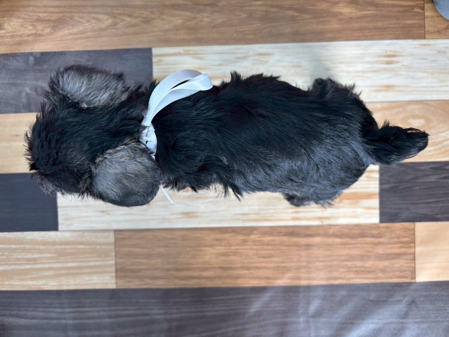 赤ちゃん写真3-3