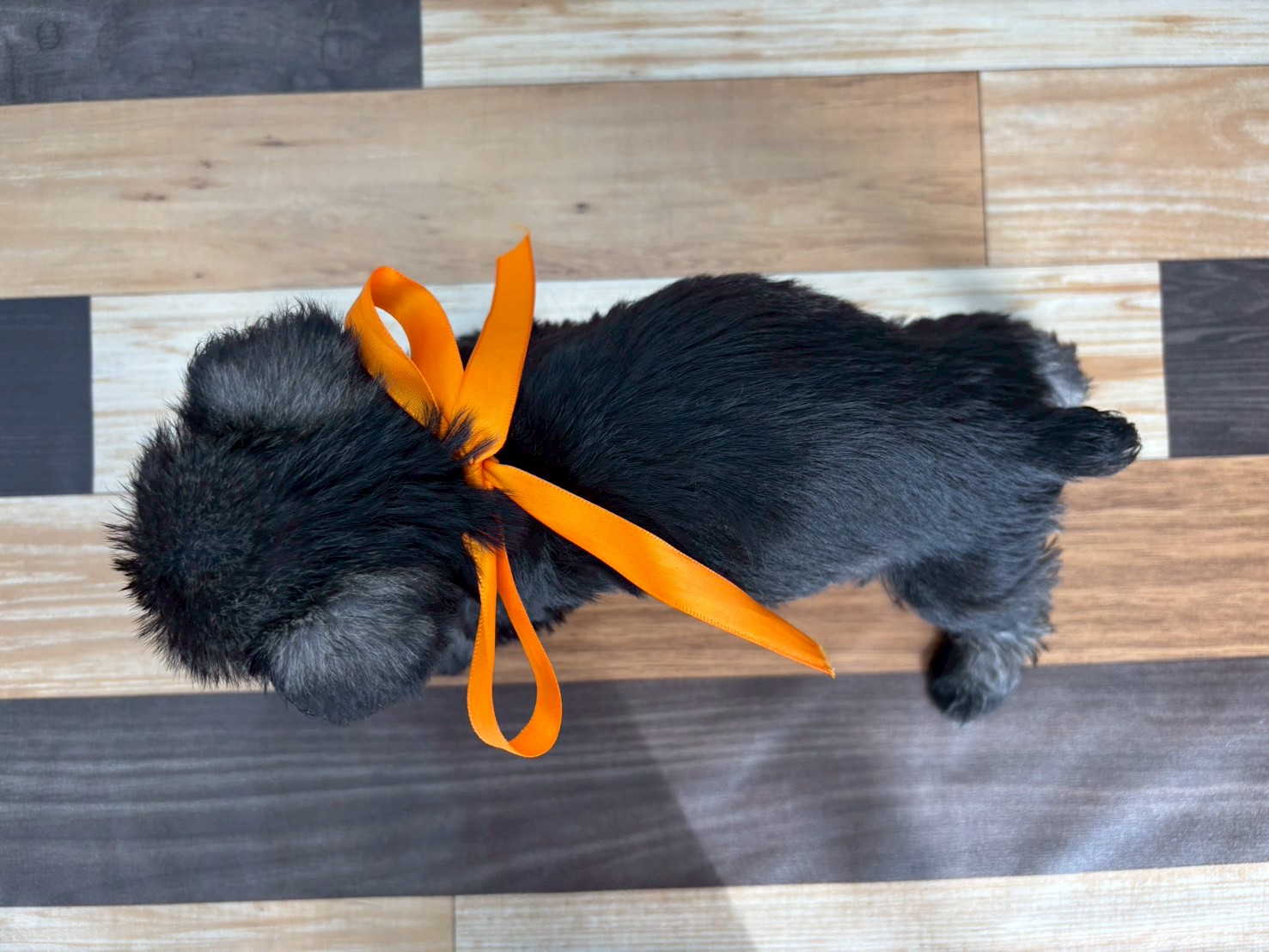 赤ちゃん写真3-3