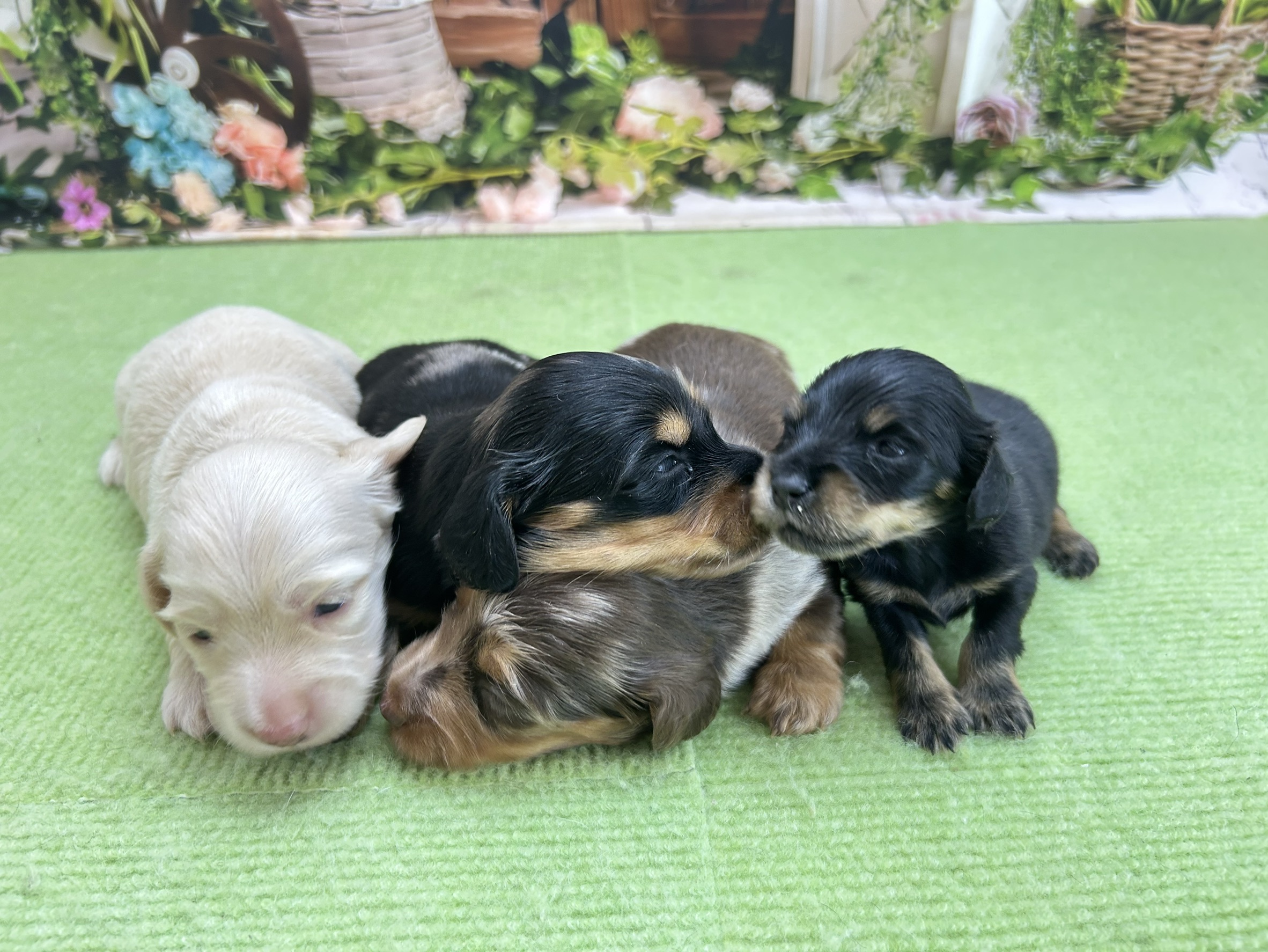 赤ちゃん写真1-3