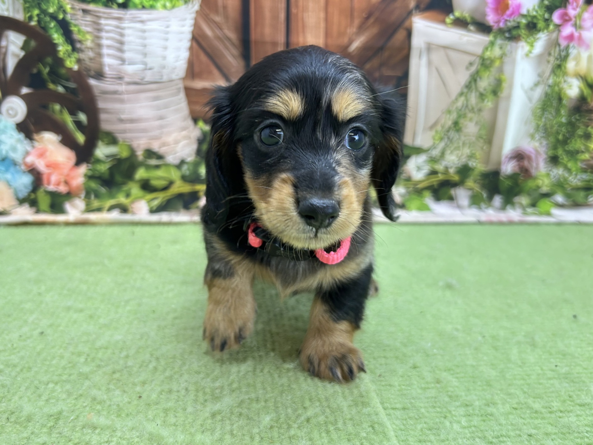 赤ちゃん写真2-1
