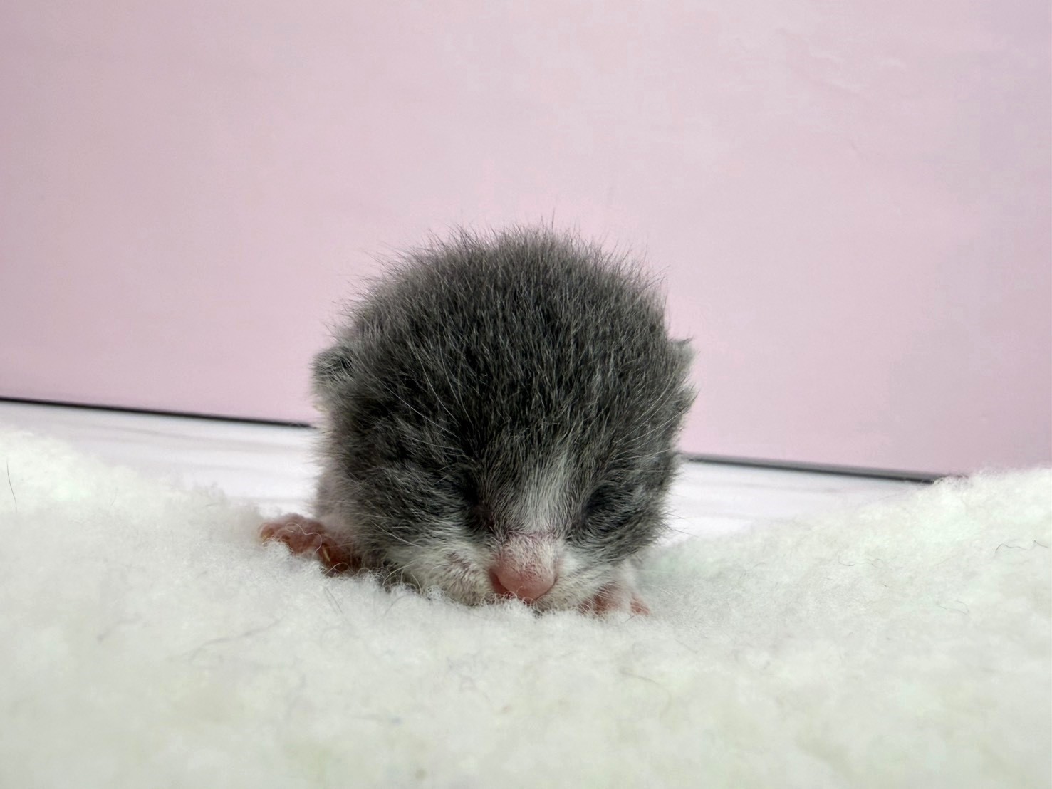 赤ちゃん写真1-1
