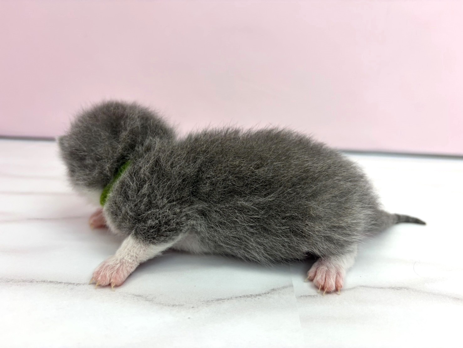 赤ちゃん写真1-2