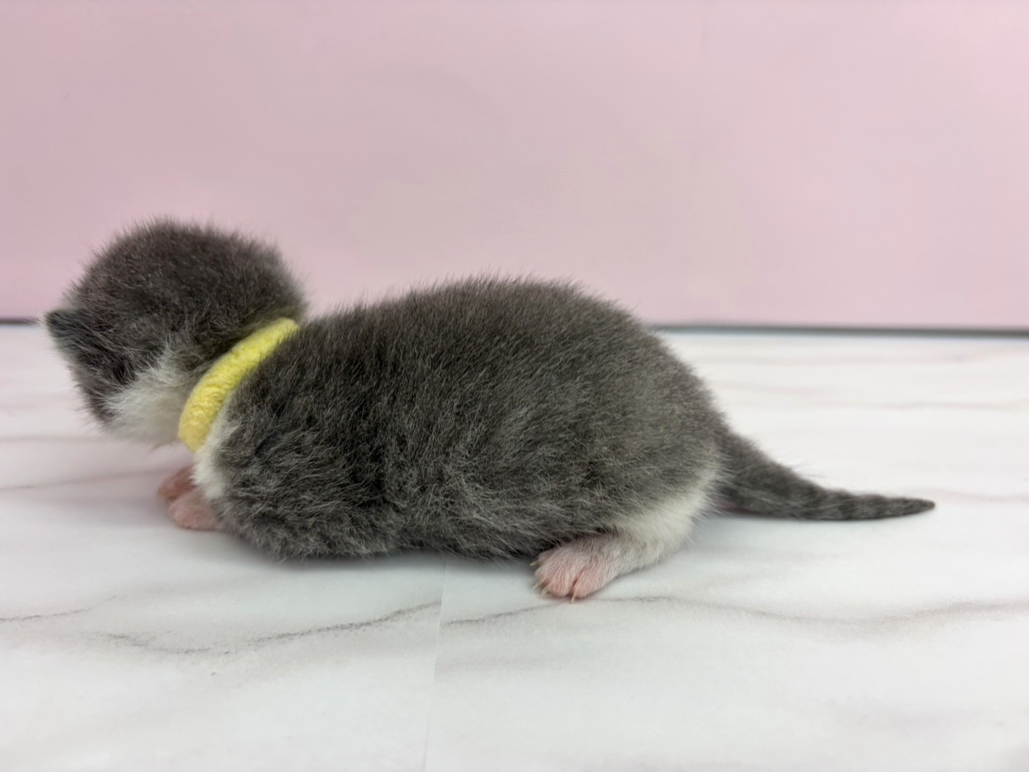 赤ちゃん写真1-2