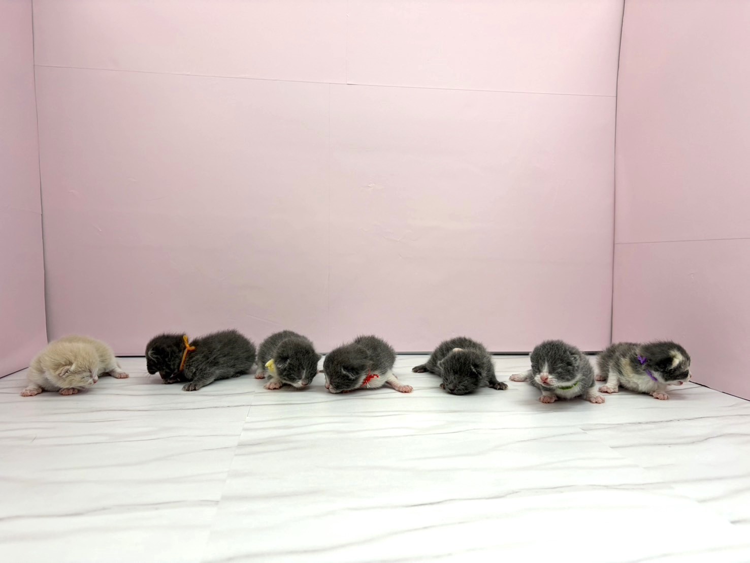 赤ちゃん写真1-3