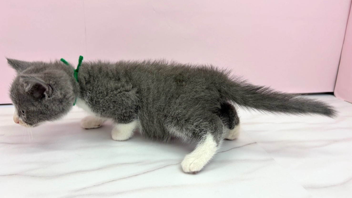 赤ちゃん写真2-2