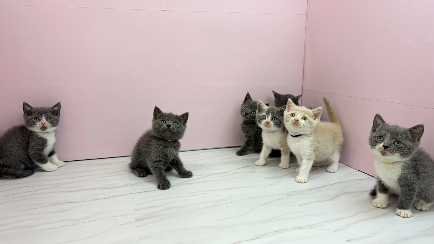 赤ちゃん写真2-3