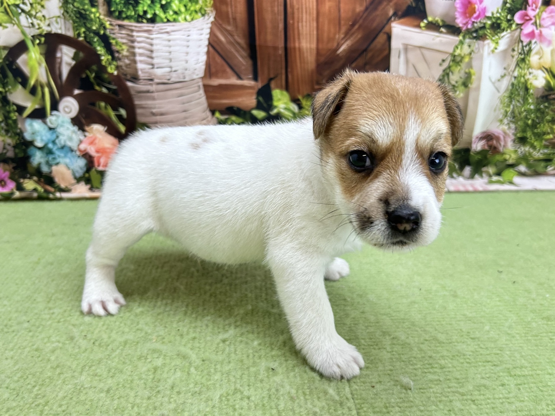 赤ちゃん写真2-3