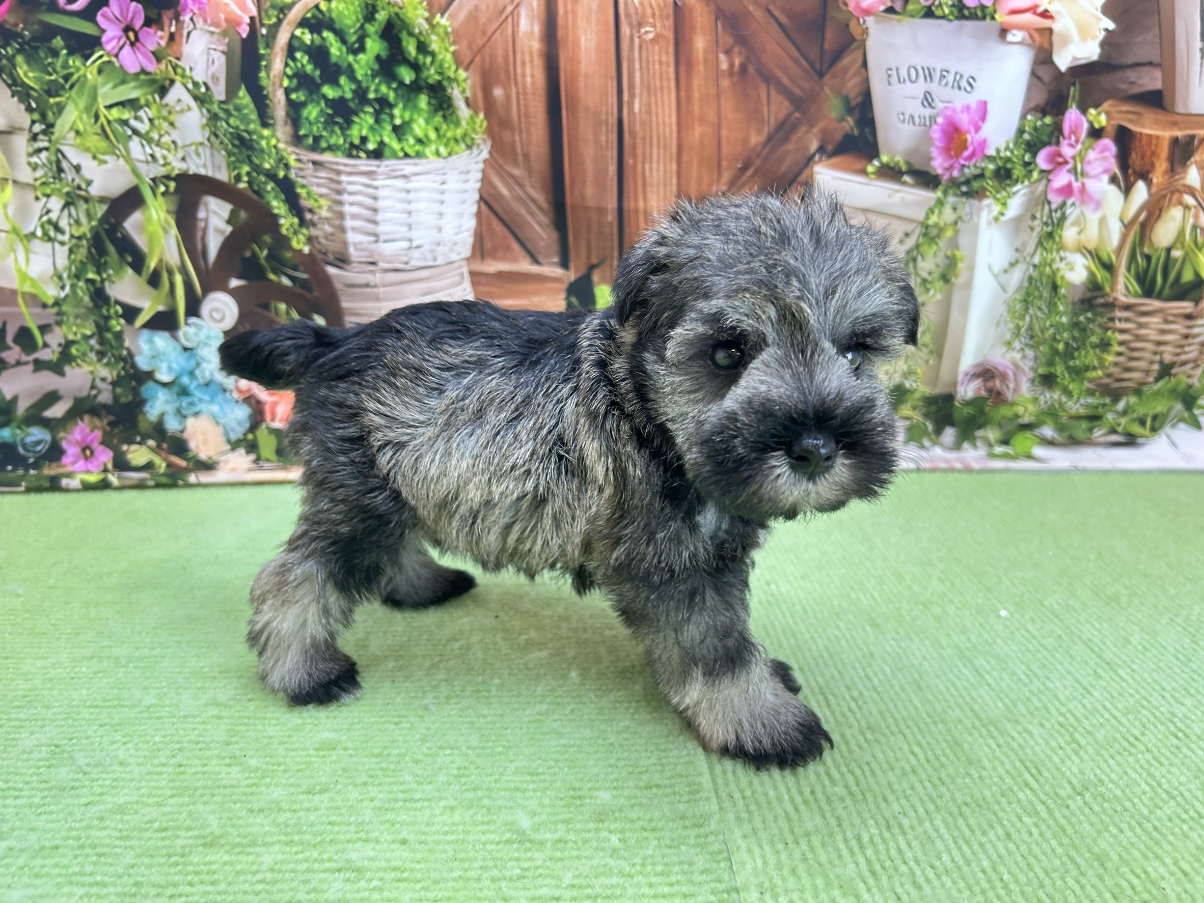 赤ちゃん写真2-2