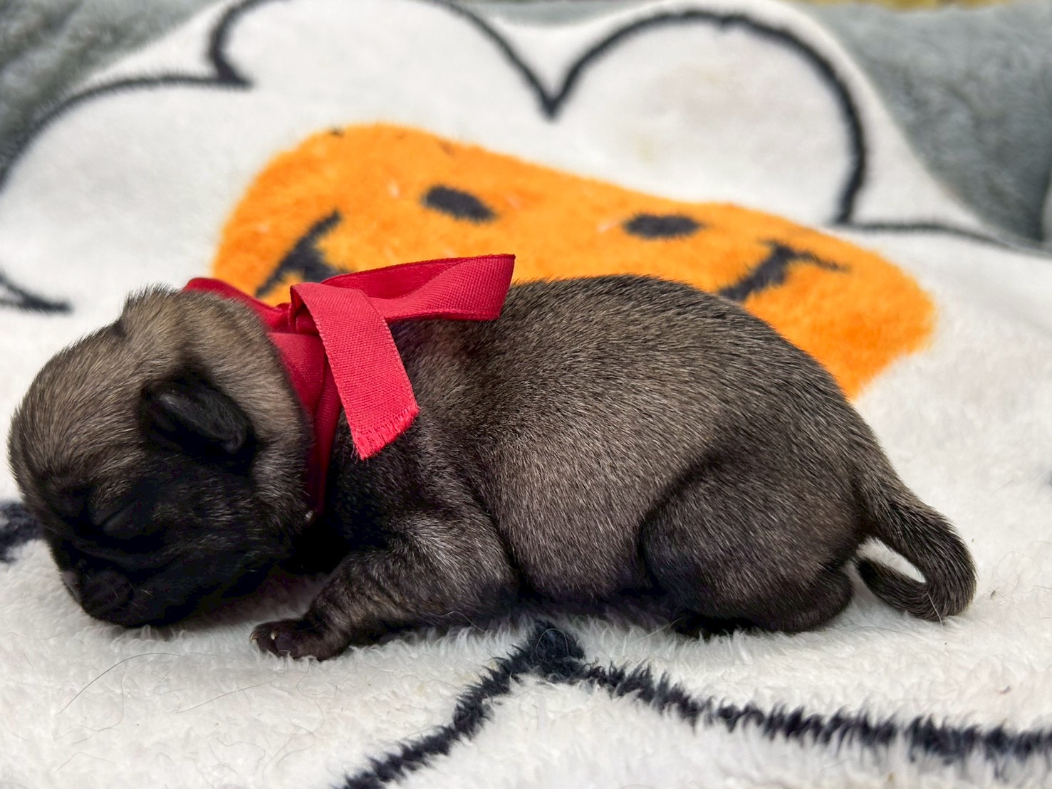 赤ちゃん写真1-2