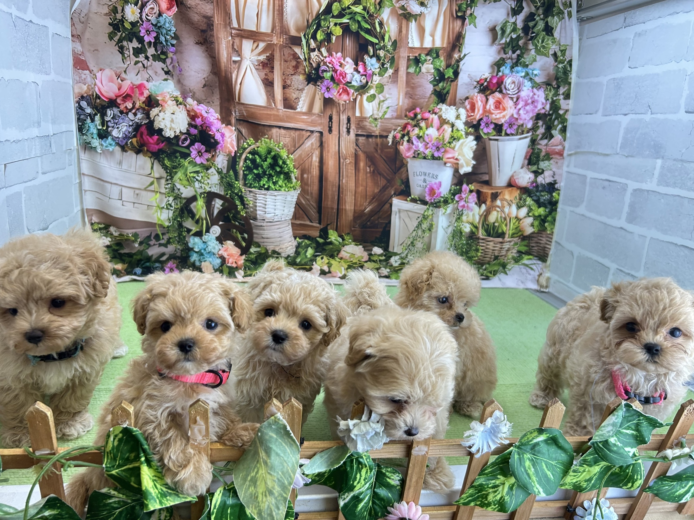 赤ちゃん写真3-3