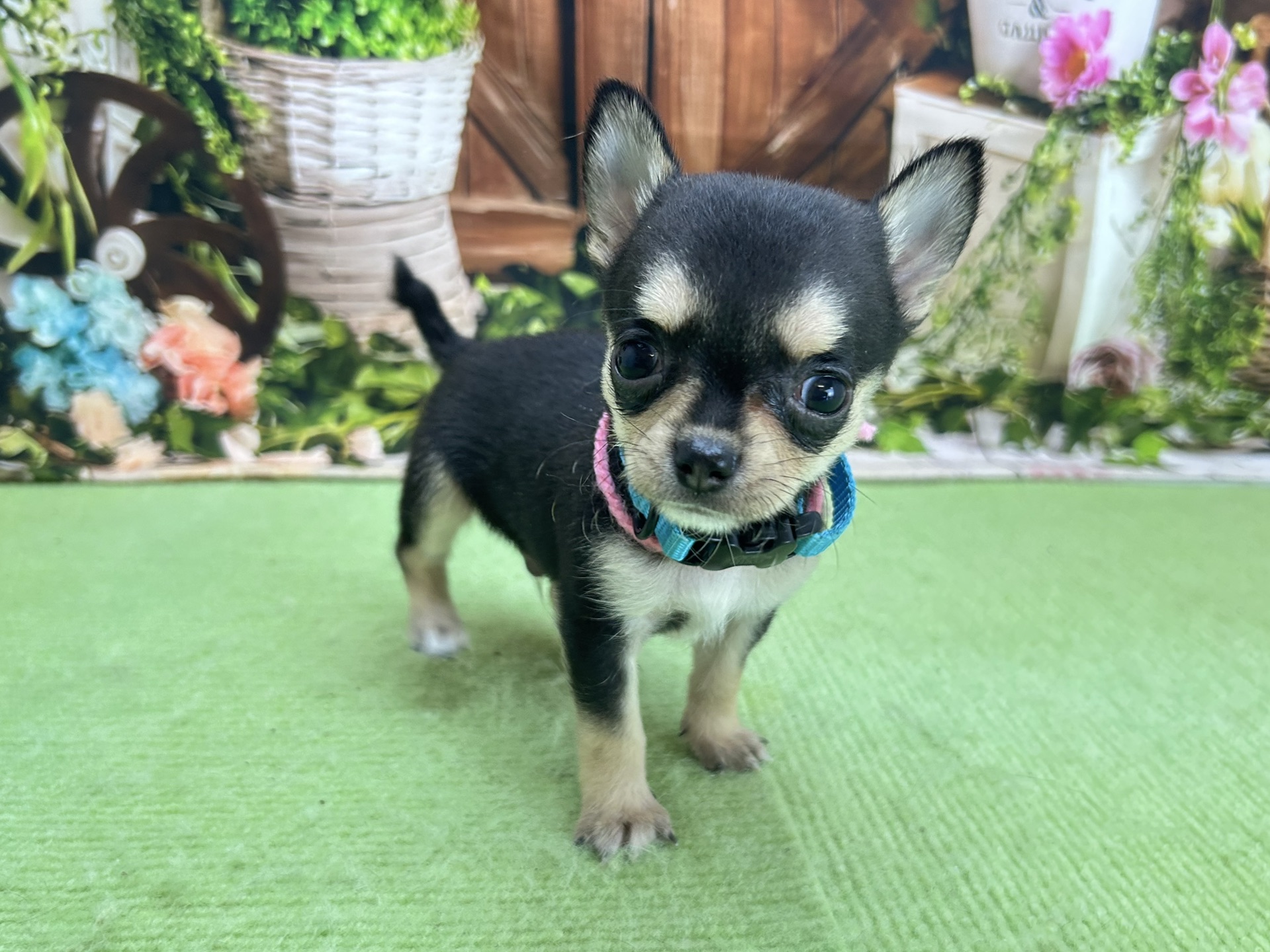 赤ちゃん写真2-1