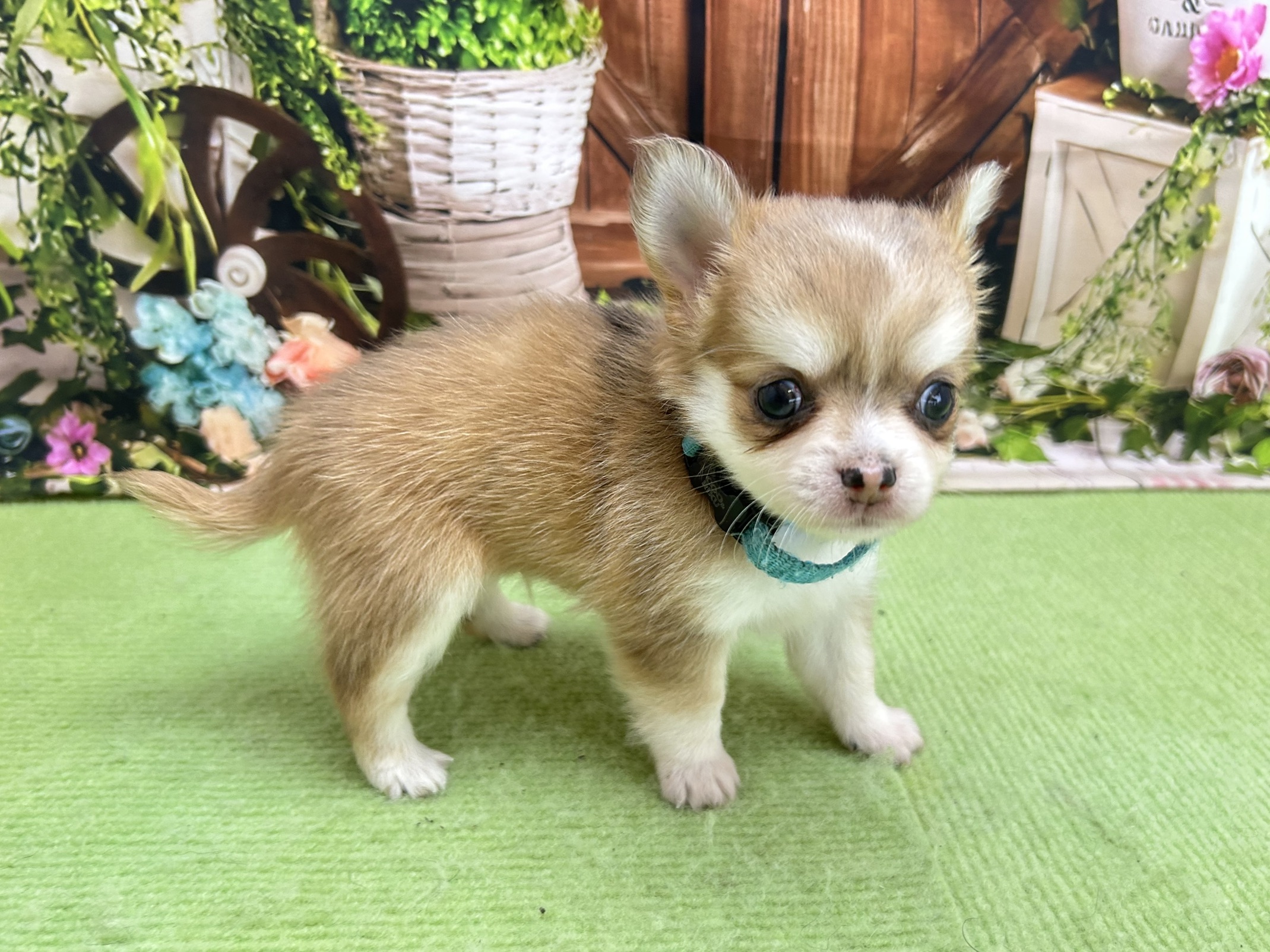赤ちゃん写真2-2