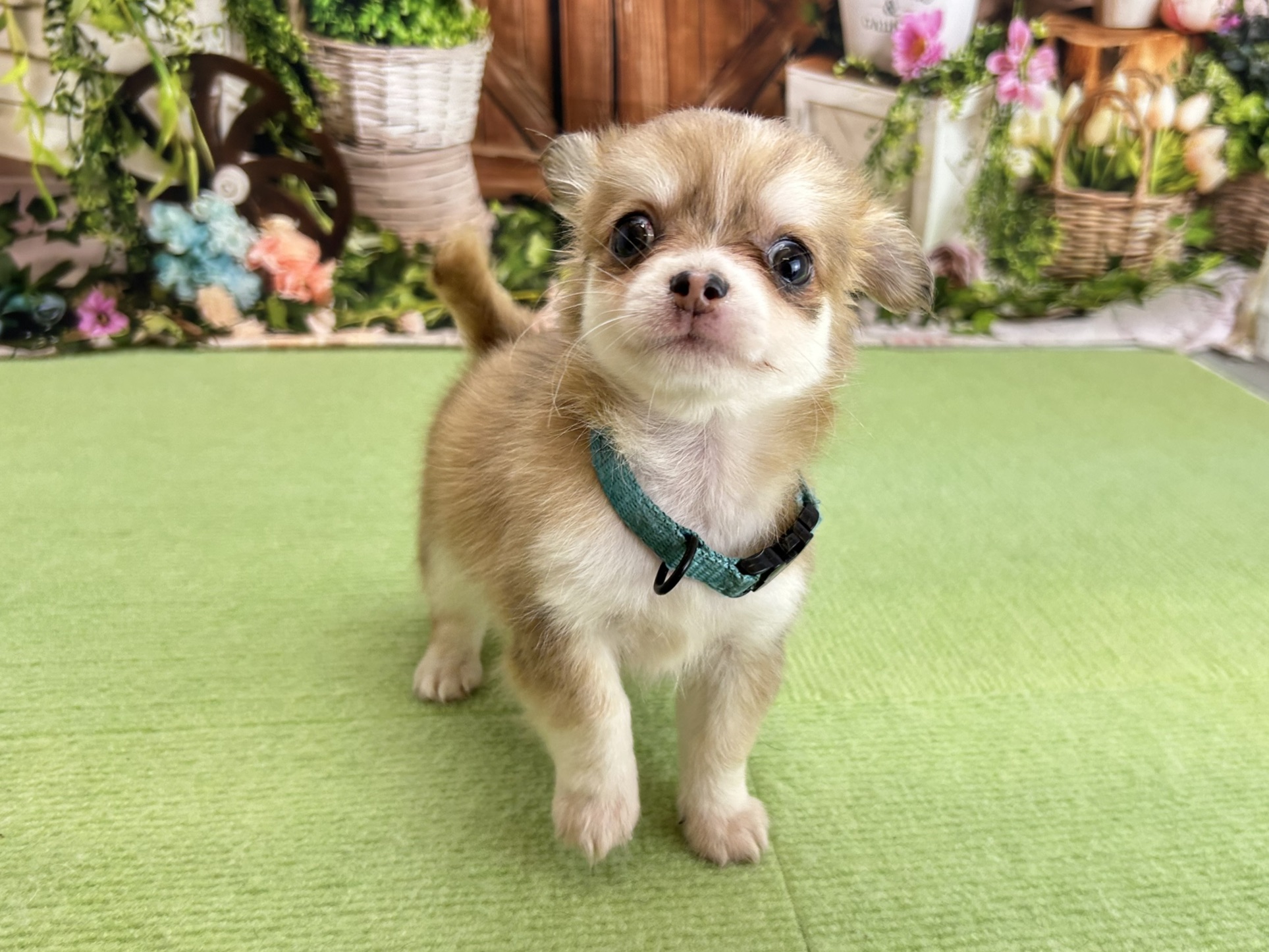 赤ちゃん写真3-1