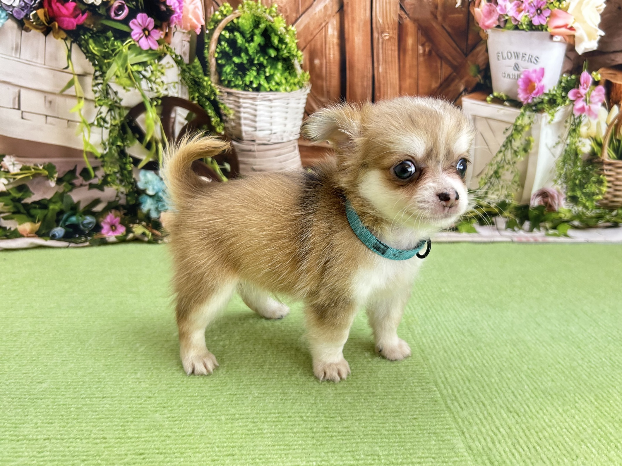 赤ちゃん写真3-2