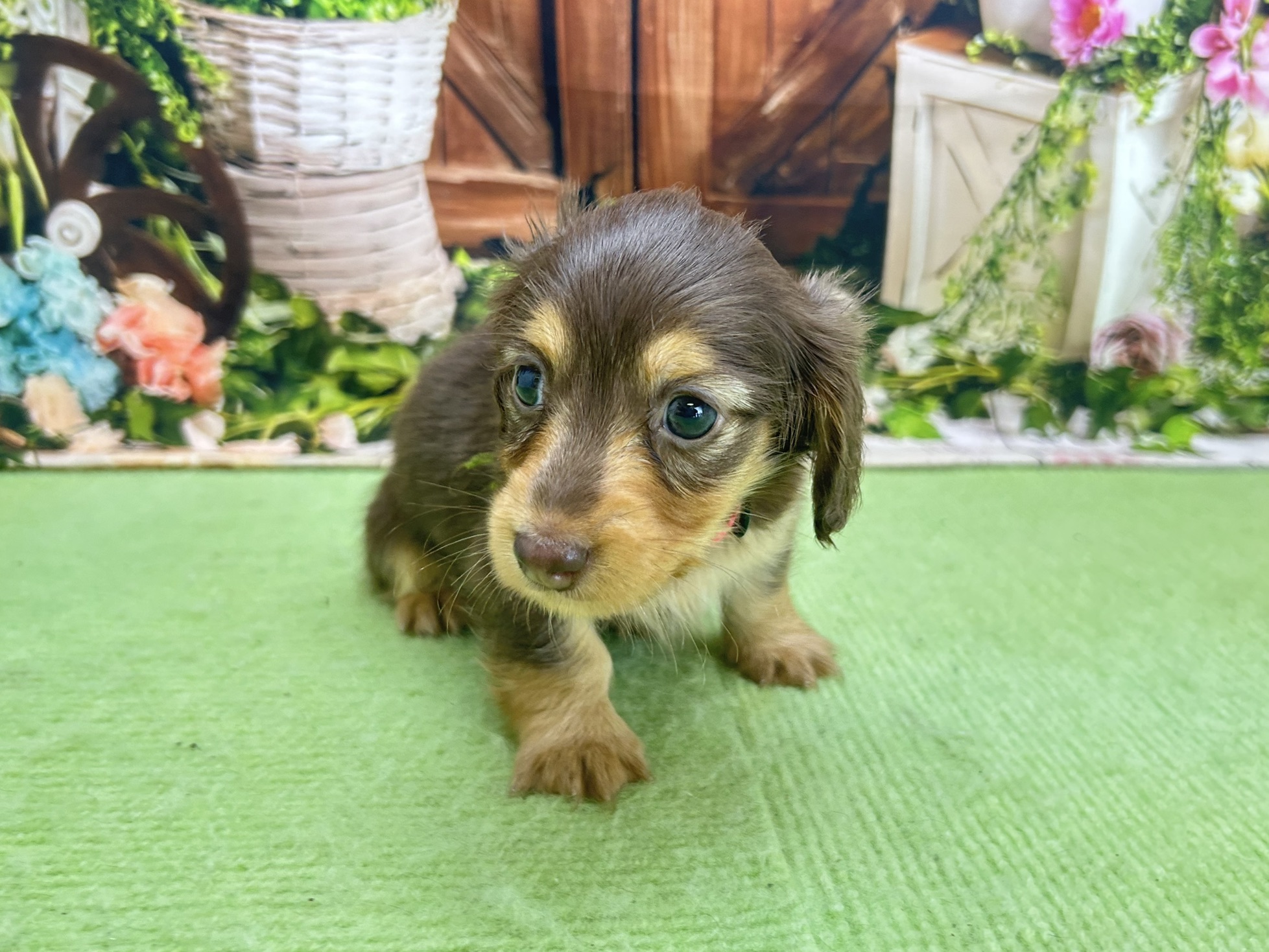 赤ちゃん写真2-1