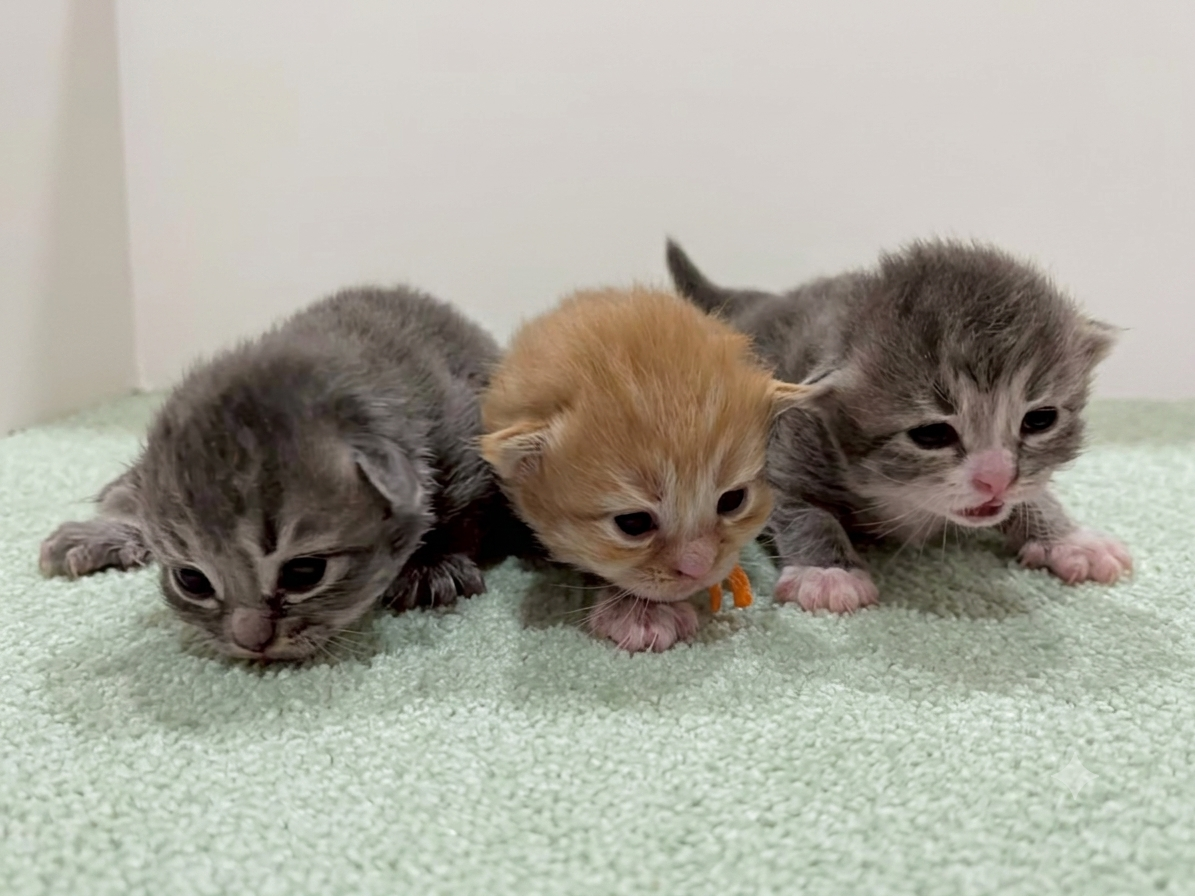 赤ちゃん写真1-3