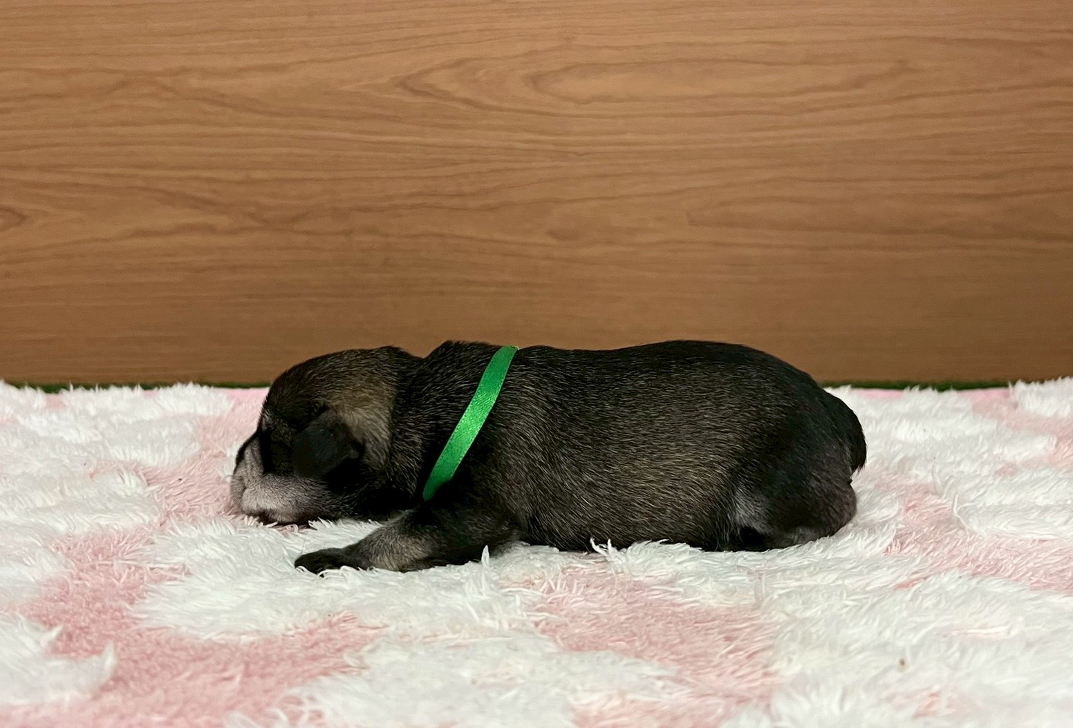 赤ちゃん写真1-2