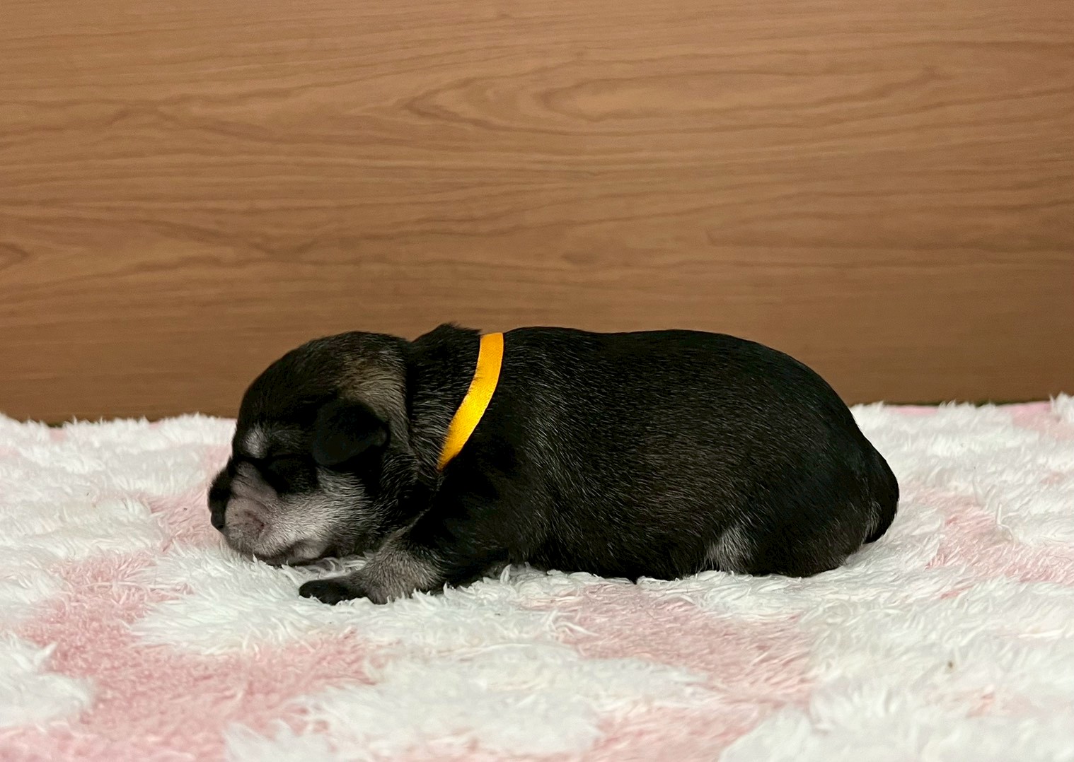 赤ちゃん写真1-2