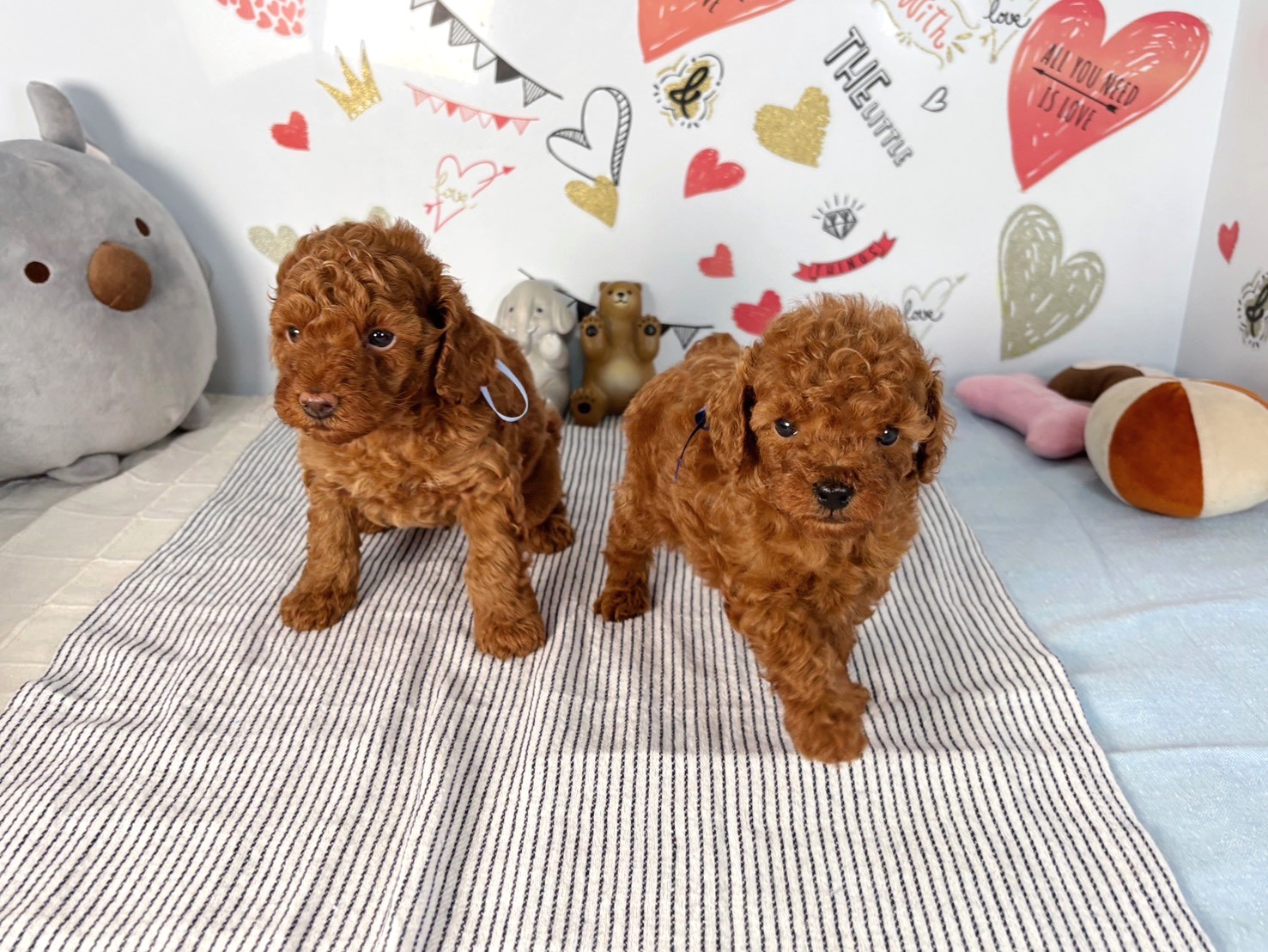 赤ちゃん写真2-3