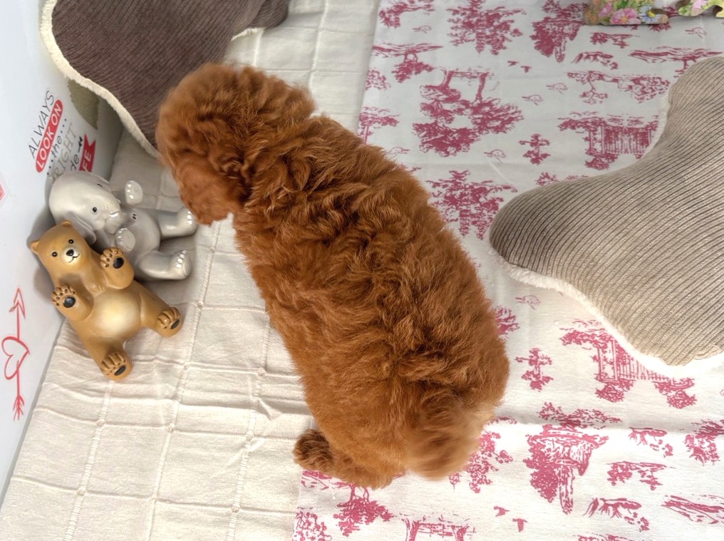 赤ちゃん写真3-3