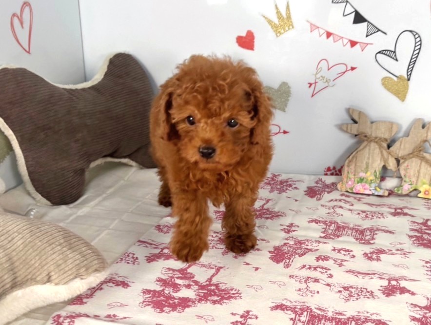 赤ちゃん写真3-1