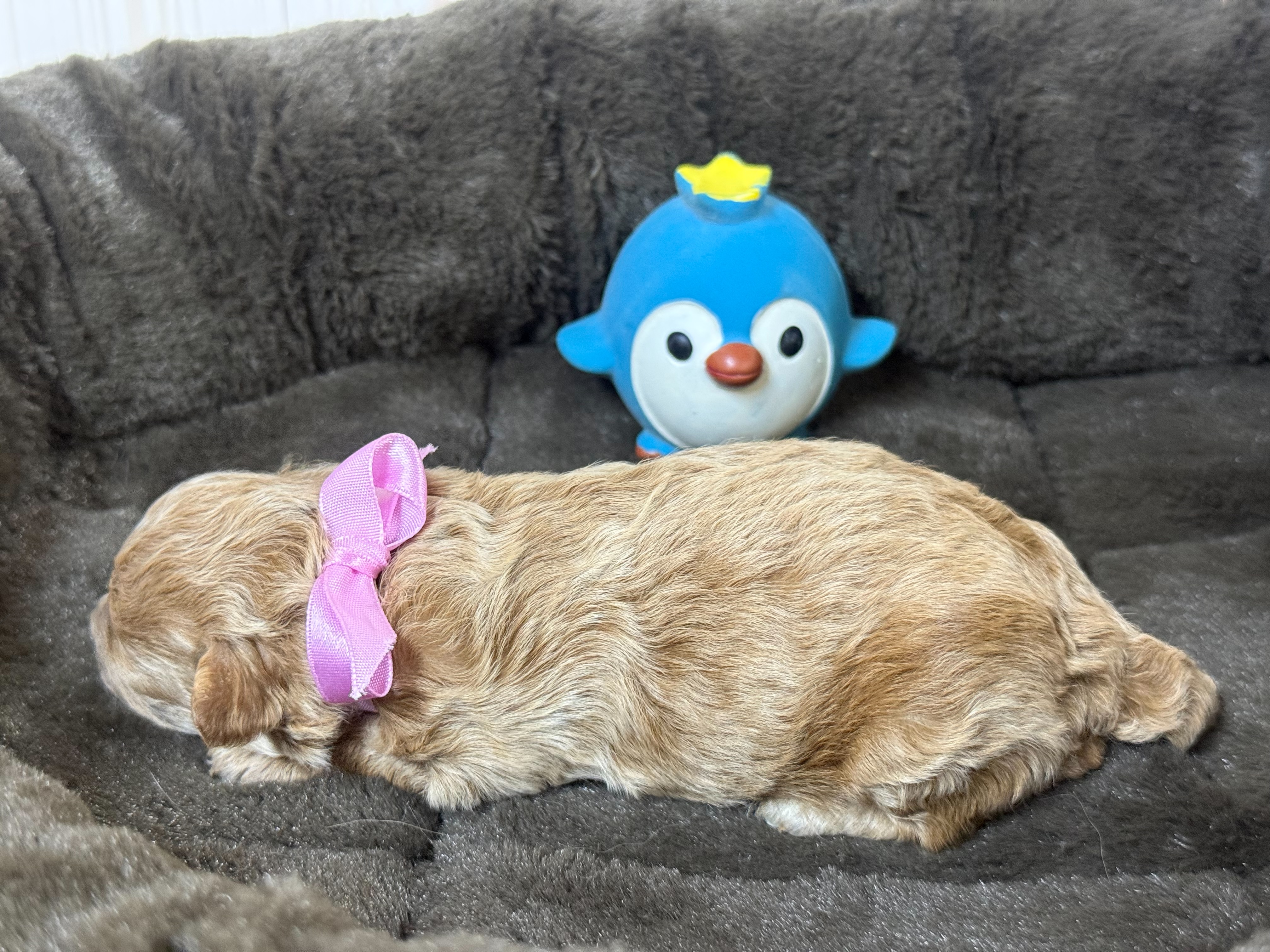赤ちゃん写真1-2