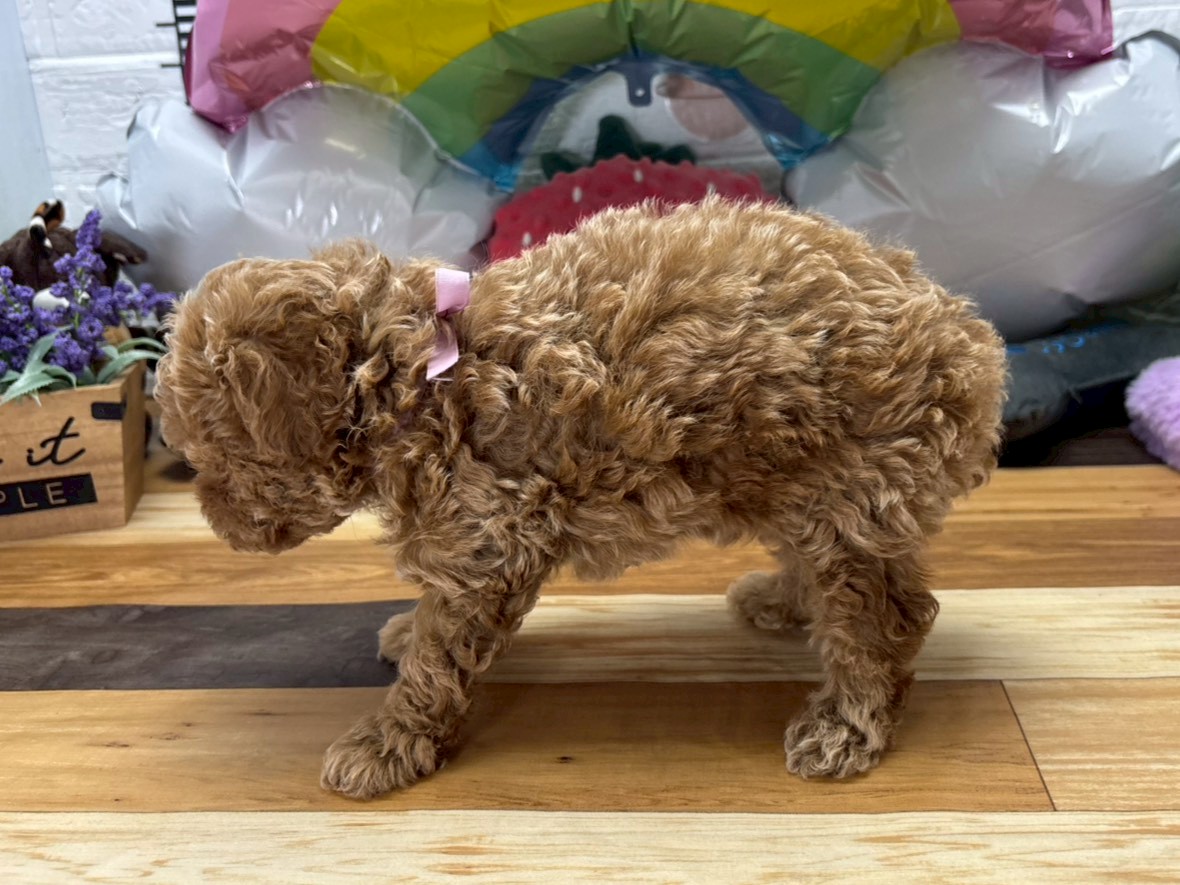 赤ちゃん写真3-2