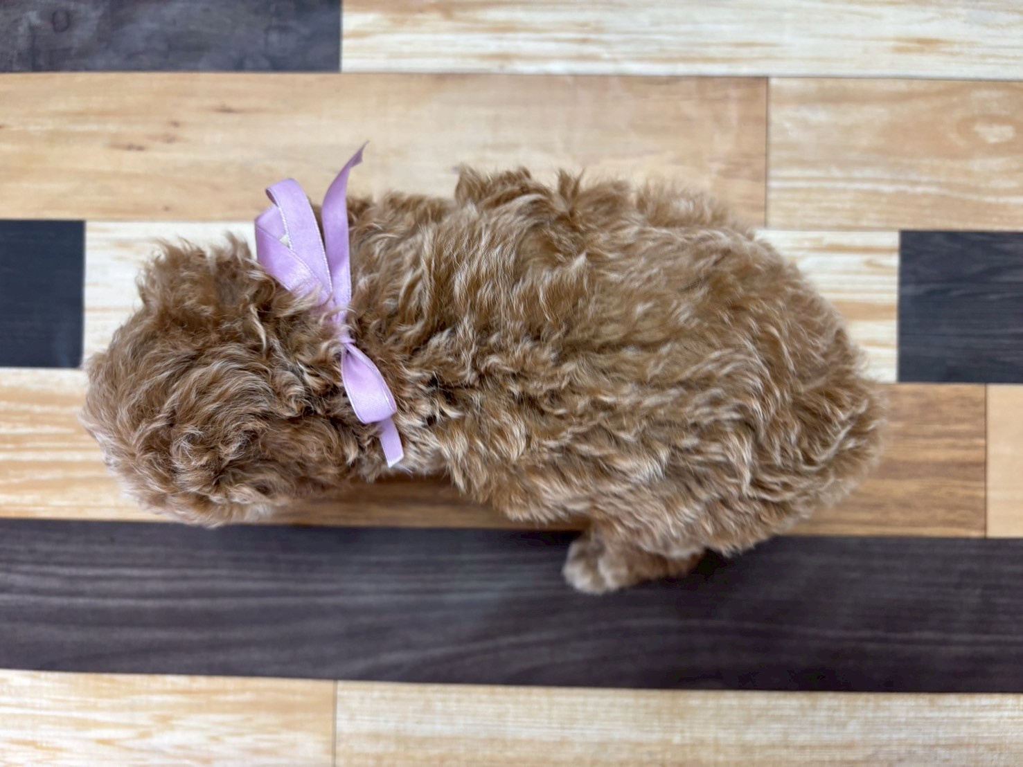赤ちゃん写真3-3