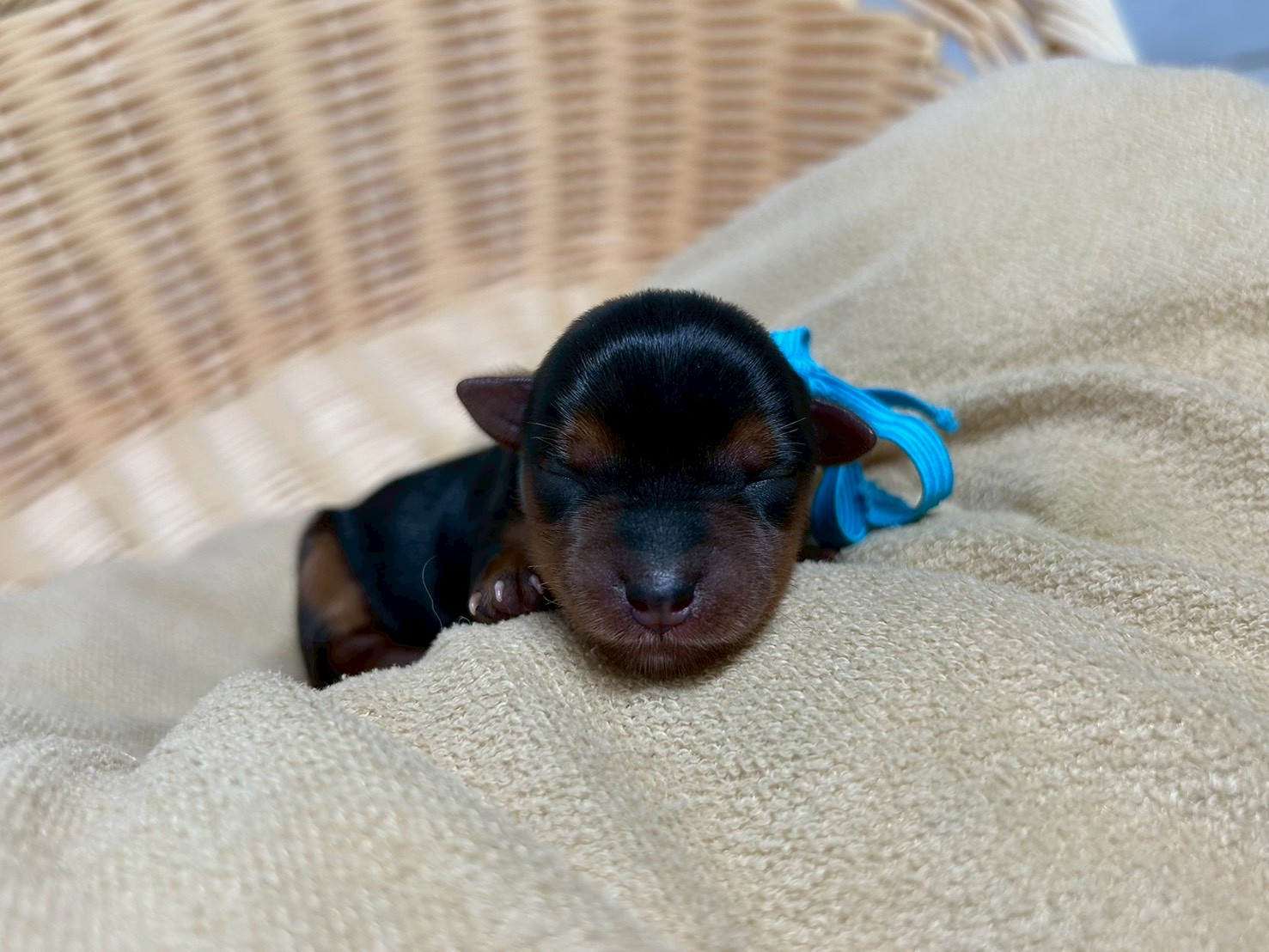 赤ちゃん写真1-1