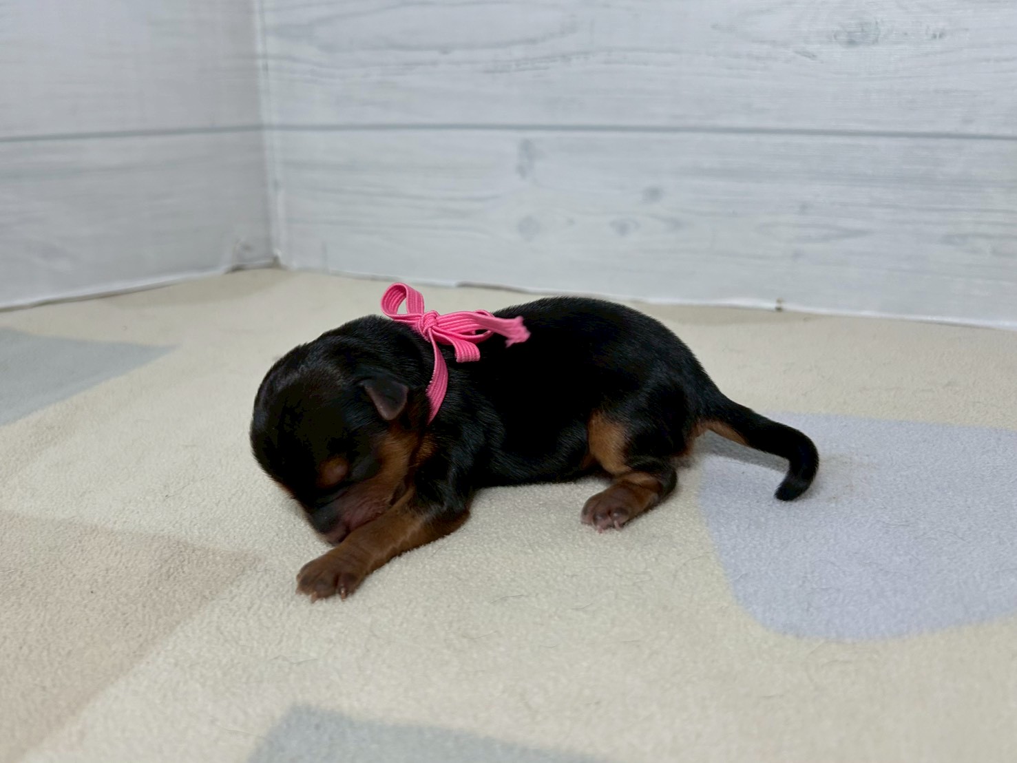 赤ちゃん写真1-2