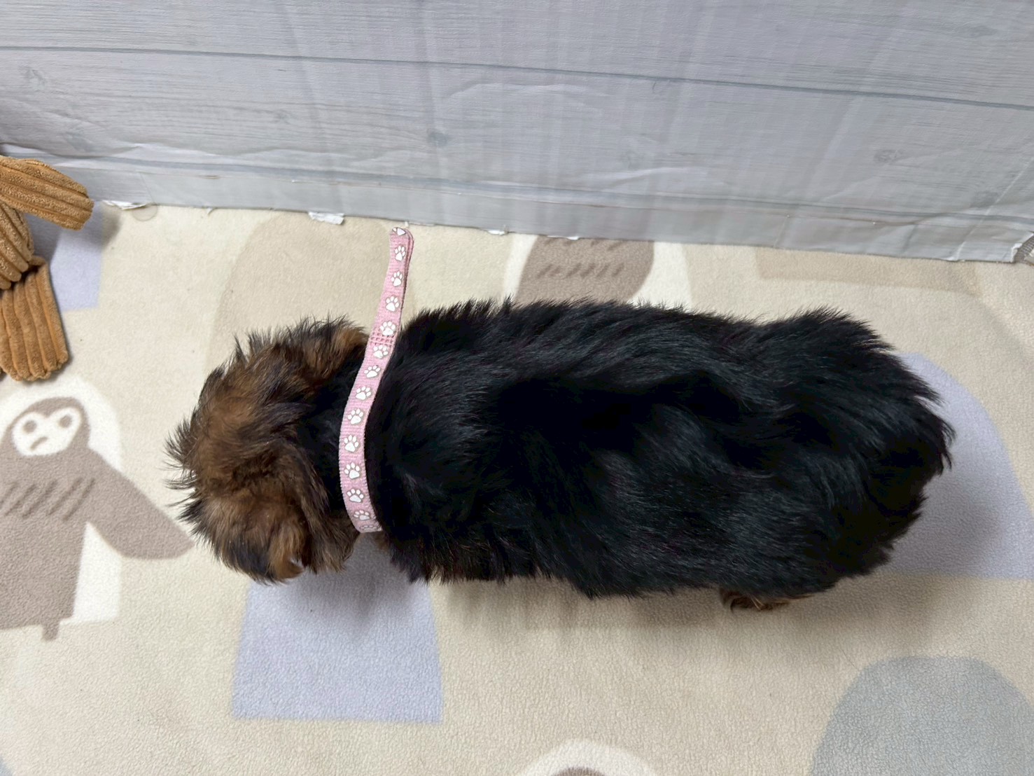 赤ちゃん写真3-3