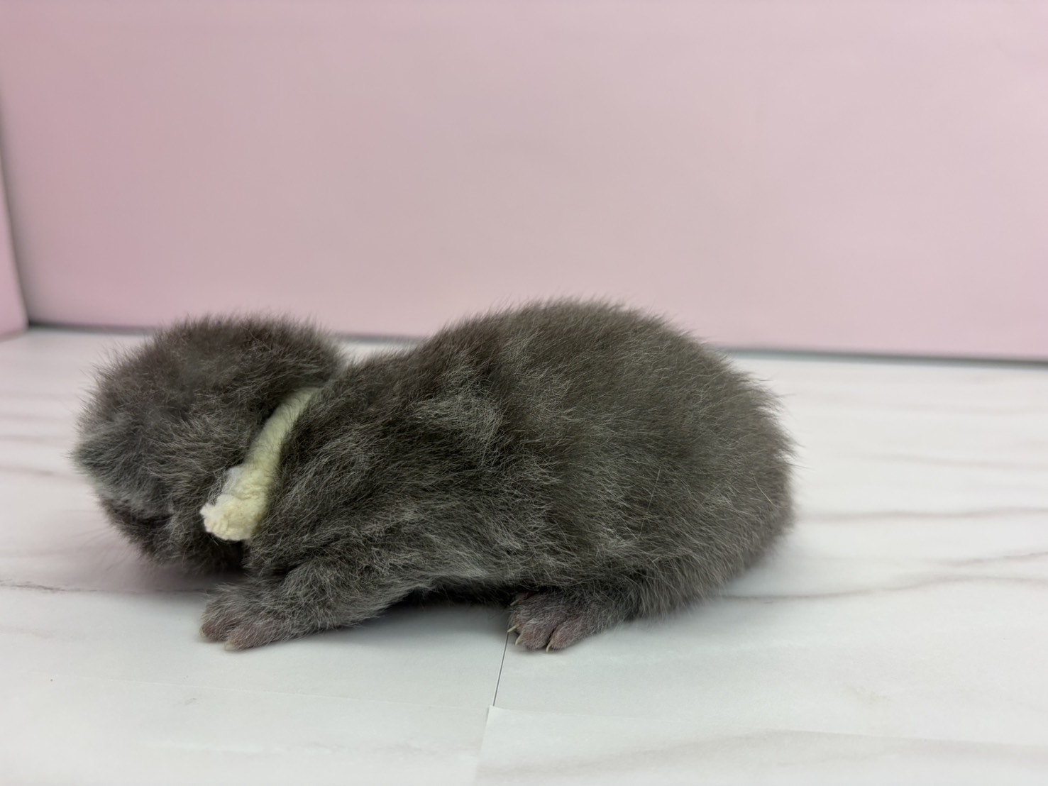 赤ちゃん写真1-2