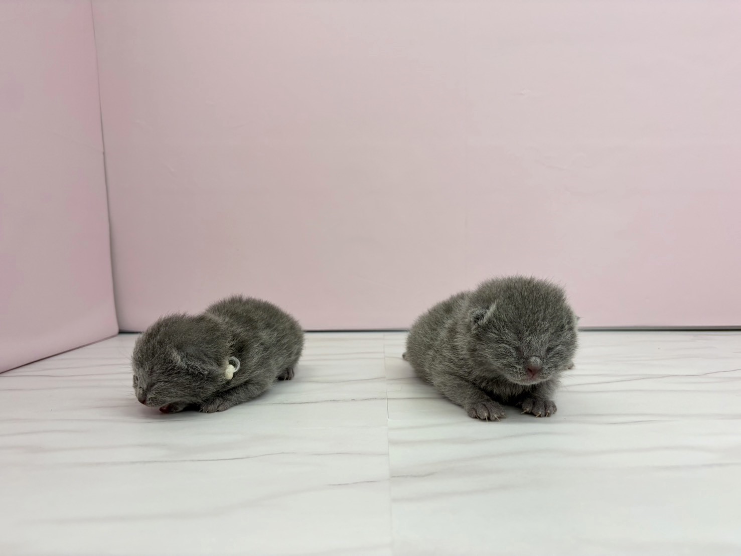 赤ちゃん写真1-3