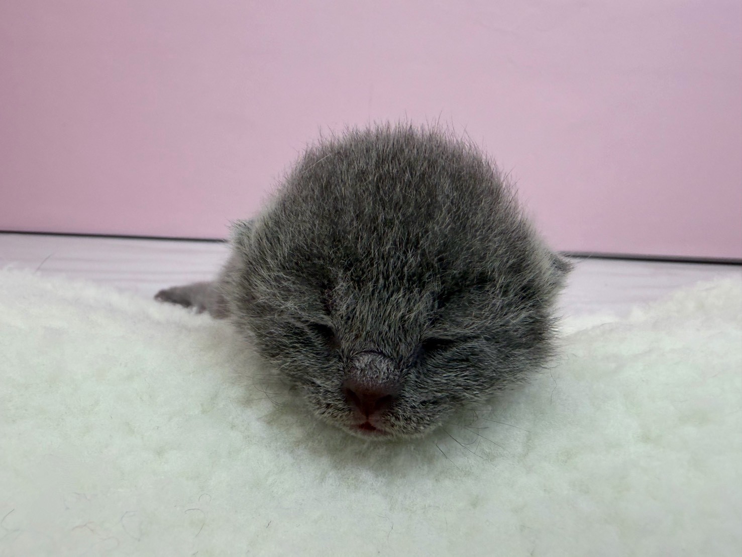赤ちゃん写真1-1