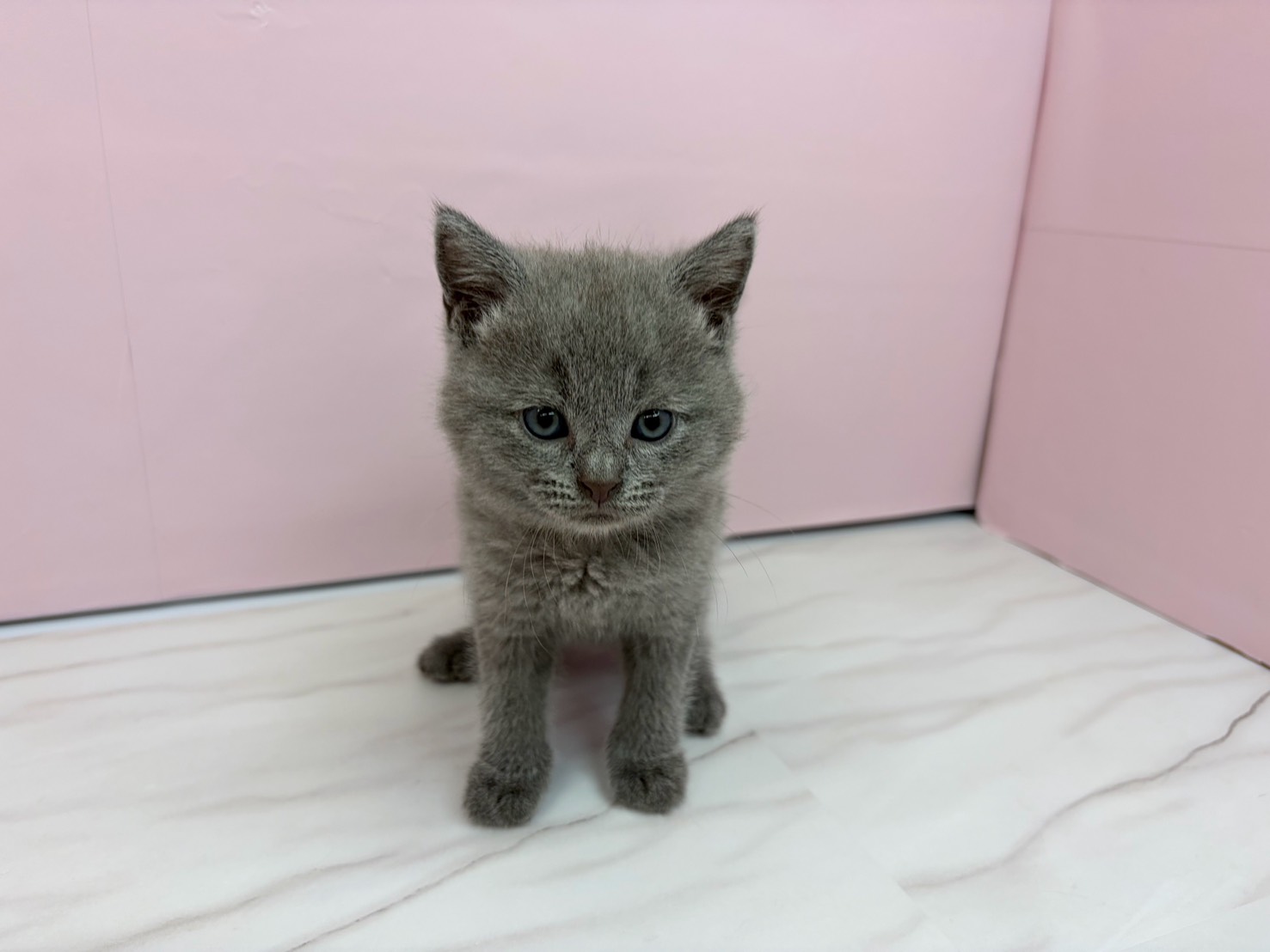 赤ちゃん写真2-1