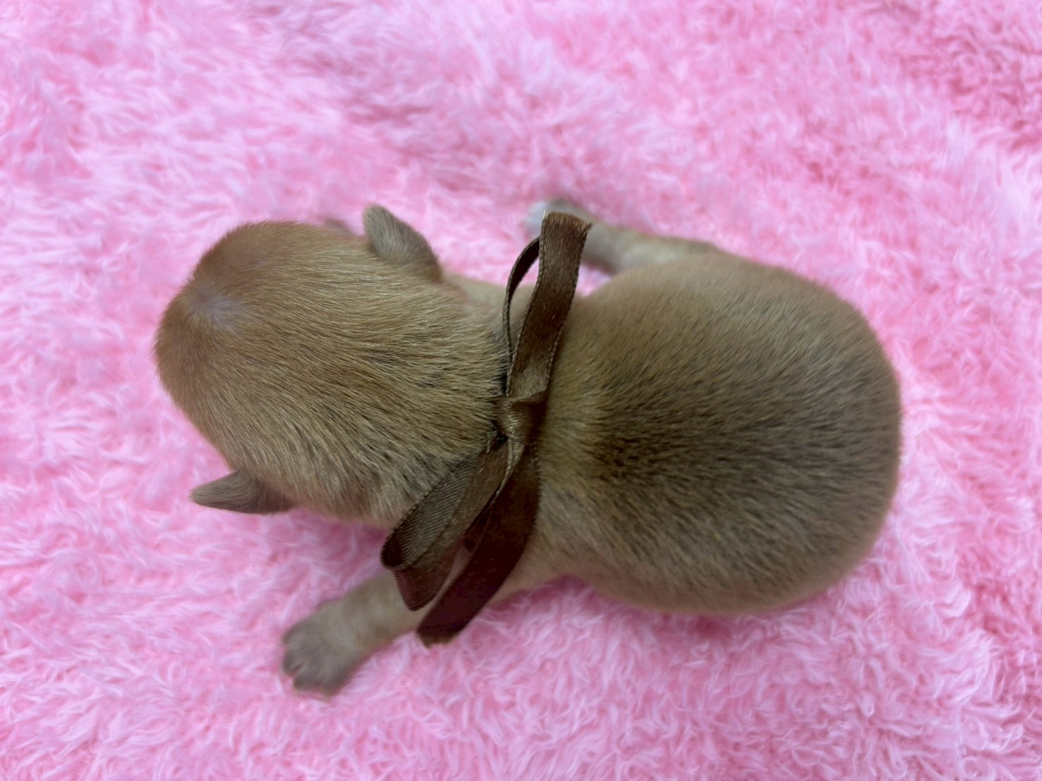 赤ちゃん写真1-3