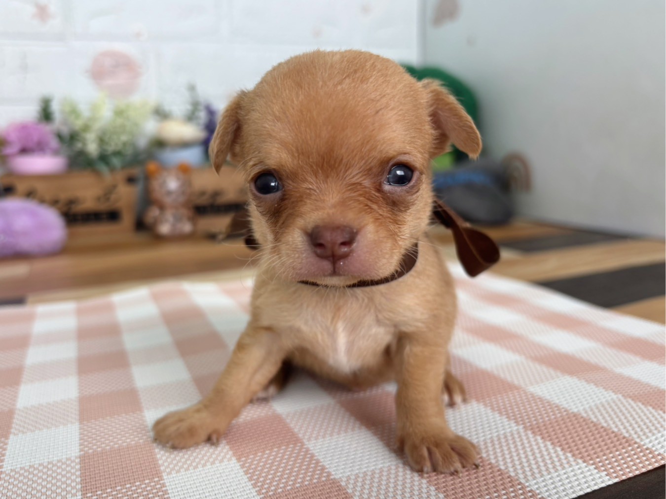 赤ちゃん写真2-1