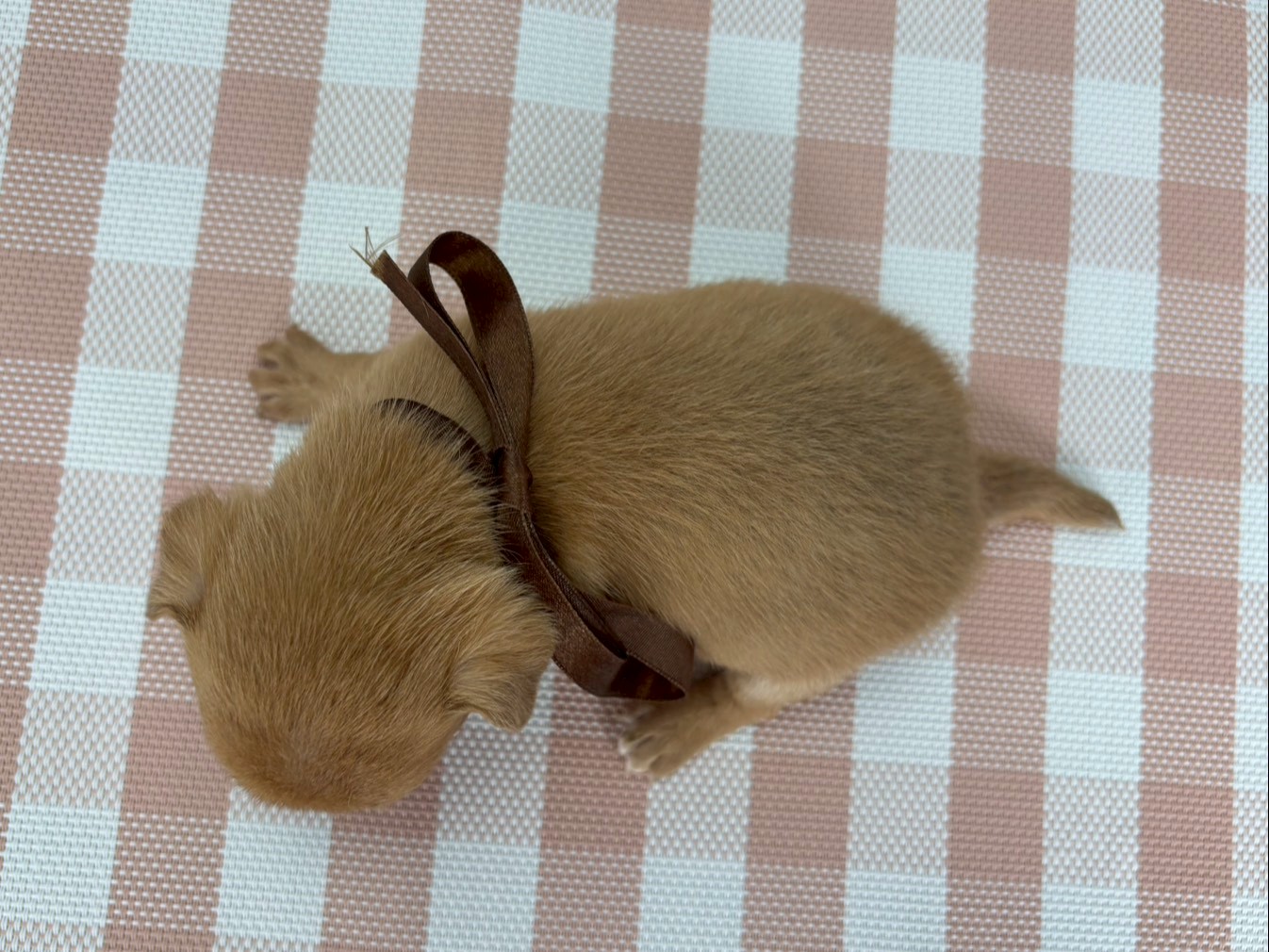赤ちゃん写真2-3