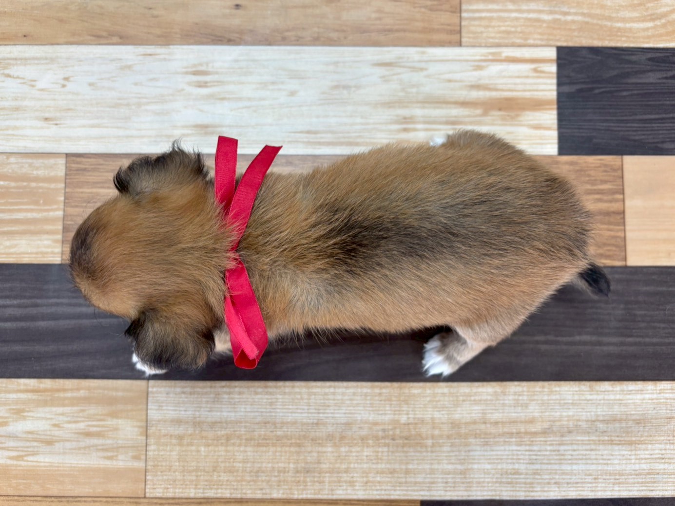赤ちゃん写真3-3