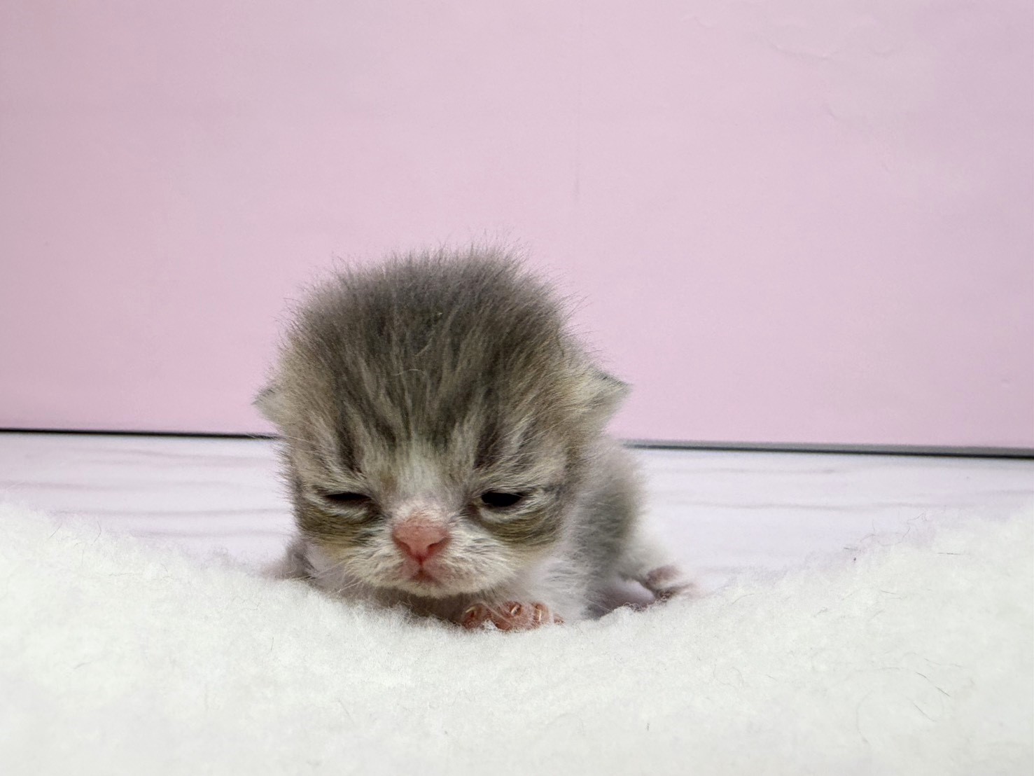 赤ちゃん写真1-1