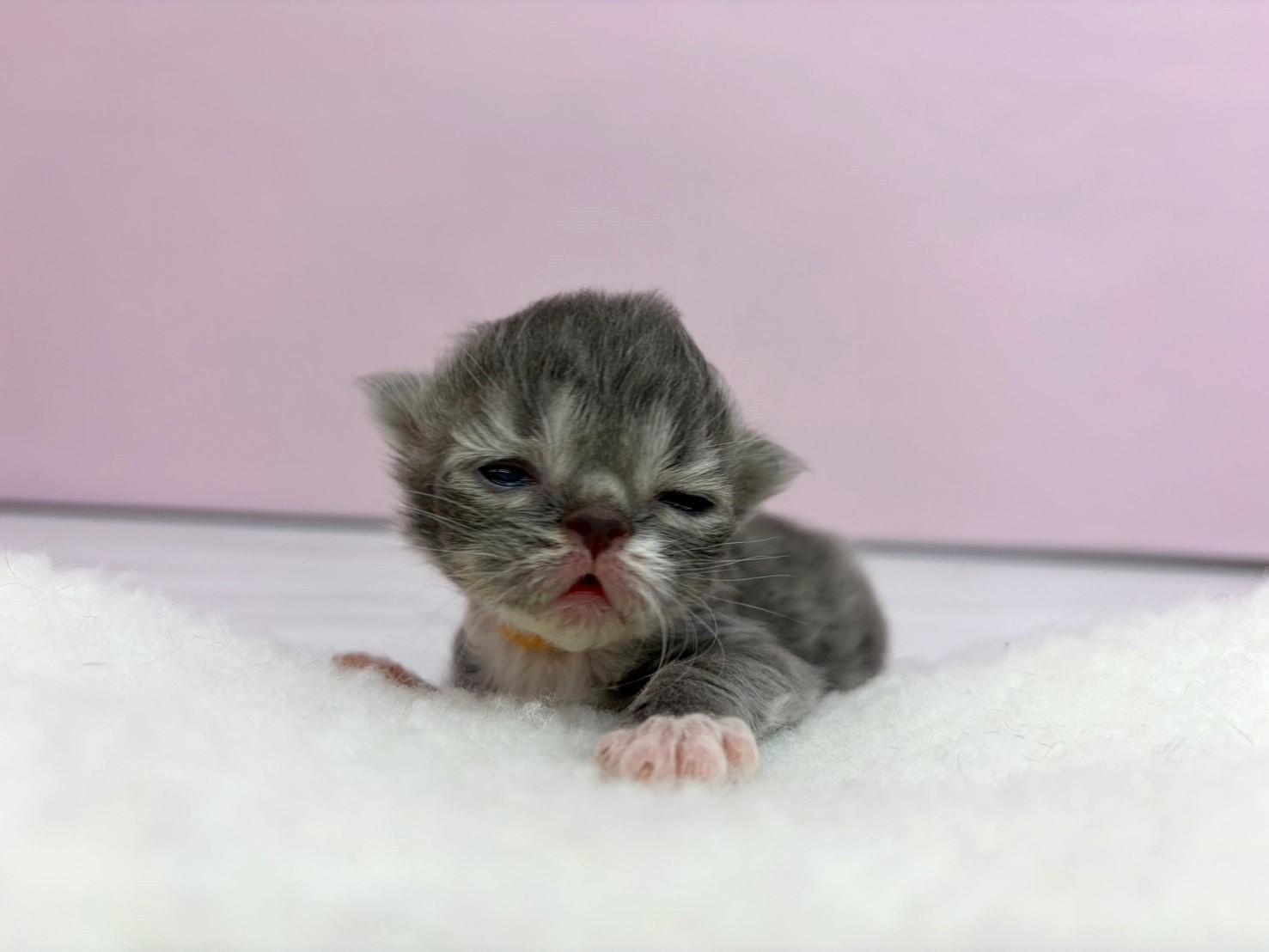 赤ちゃん写真1-1