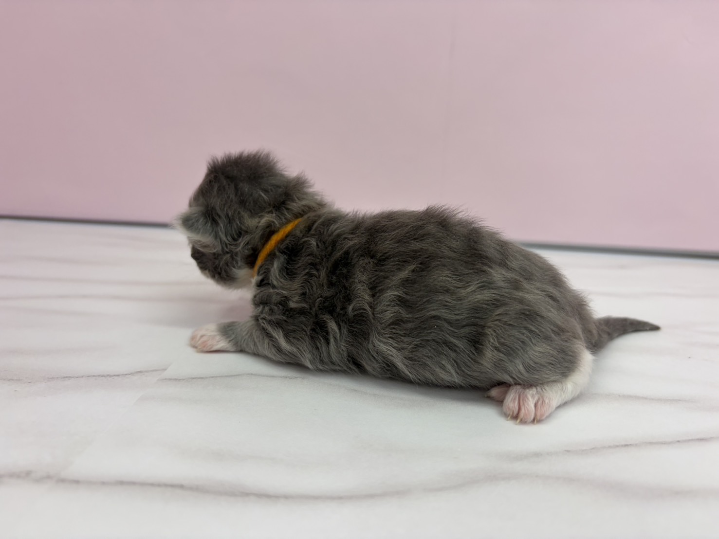 赤ちゃん写真1-2
