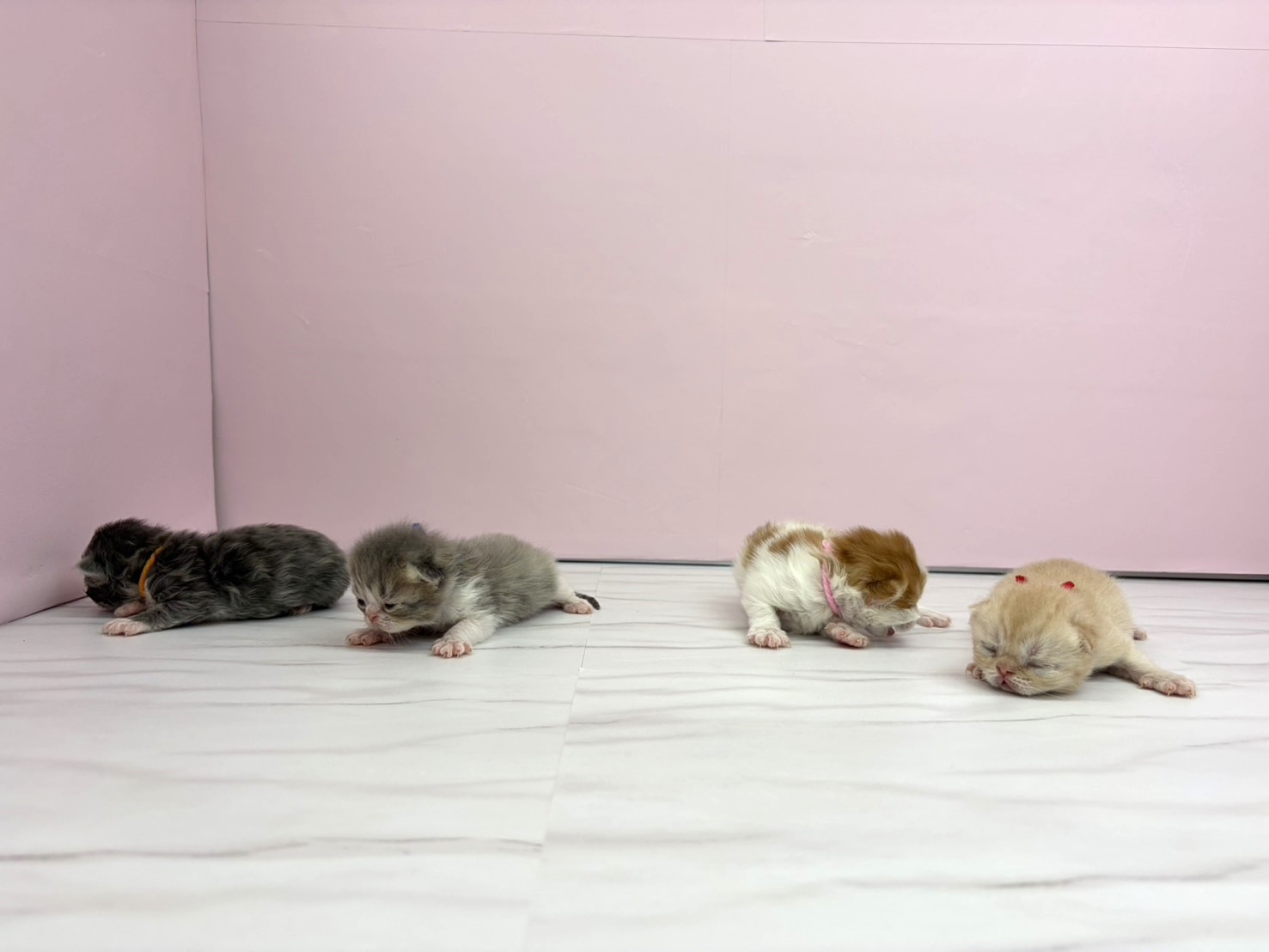 赤ちゃん写真1-3