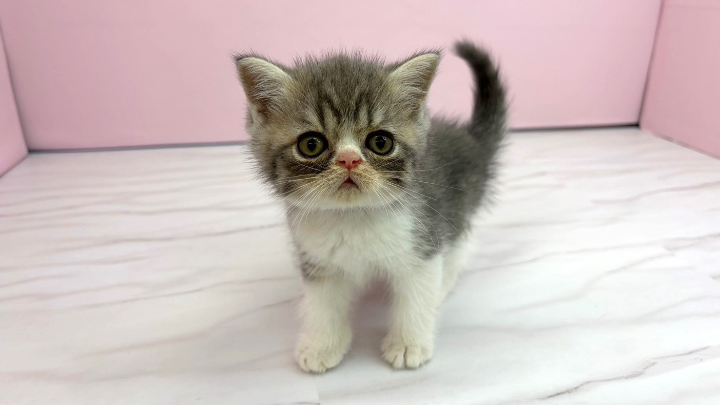 赤ちゃん写真2-1