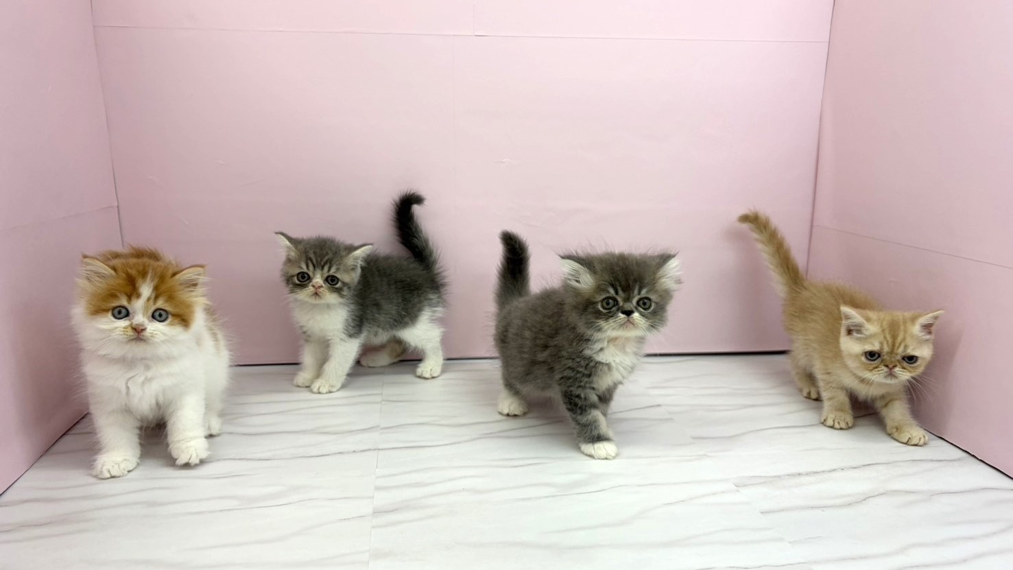 赤ちゃん写真2-3