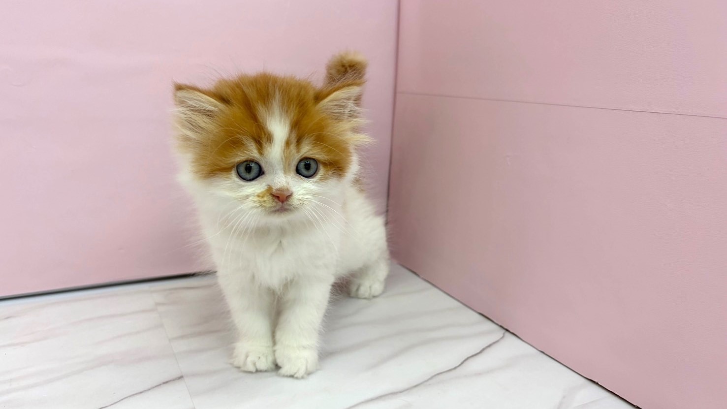赤ちゃん写真2-1
