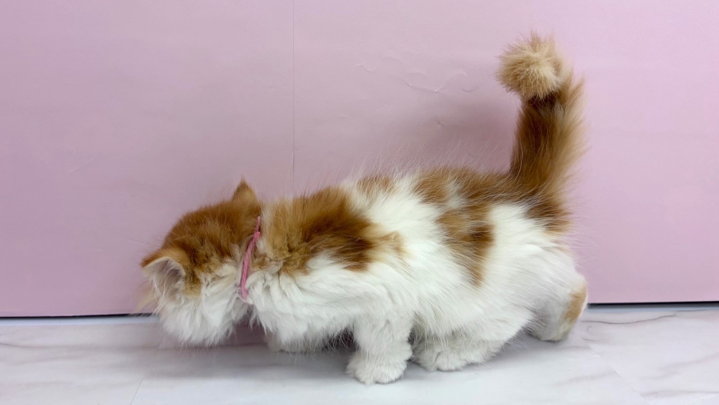 赤ちゃん写真2-2
