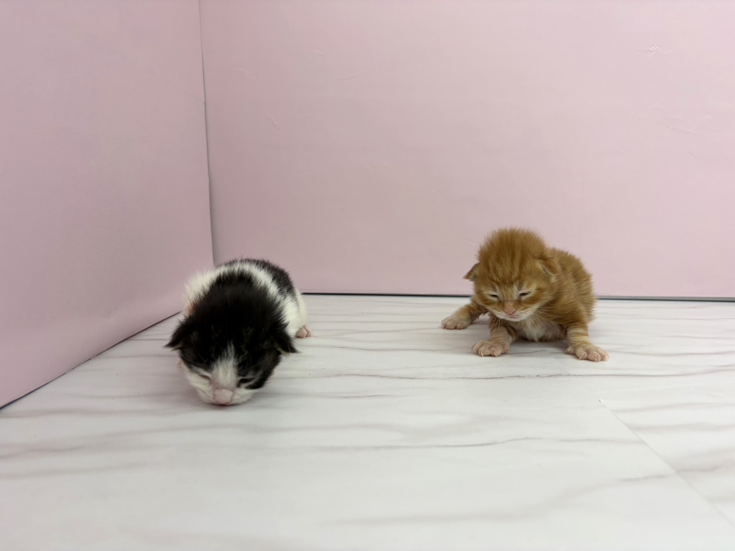 赤ちゃん写真1-3