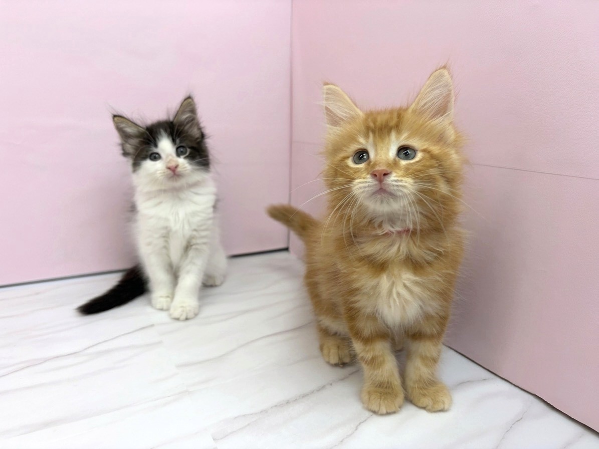 赤ちゃん写真2-3