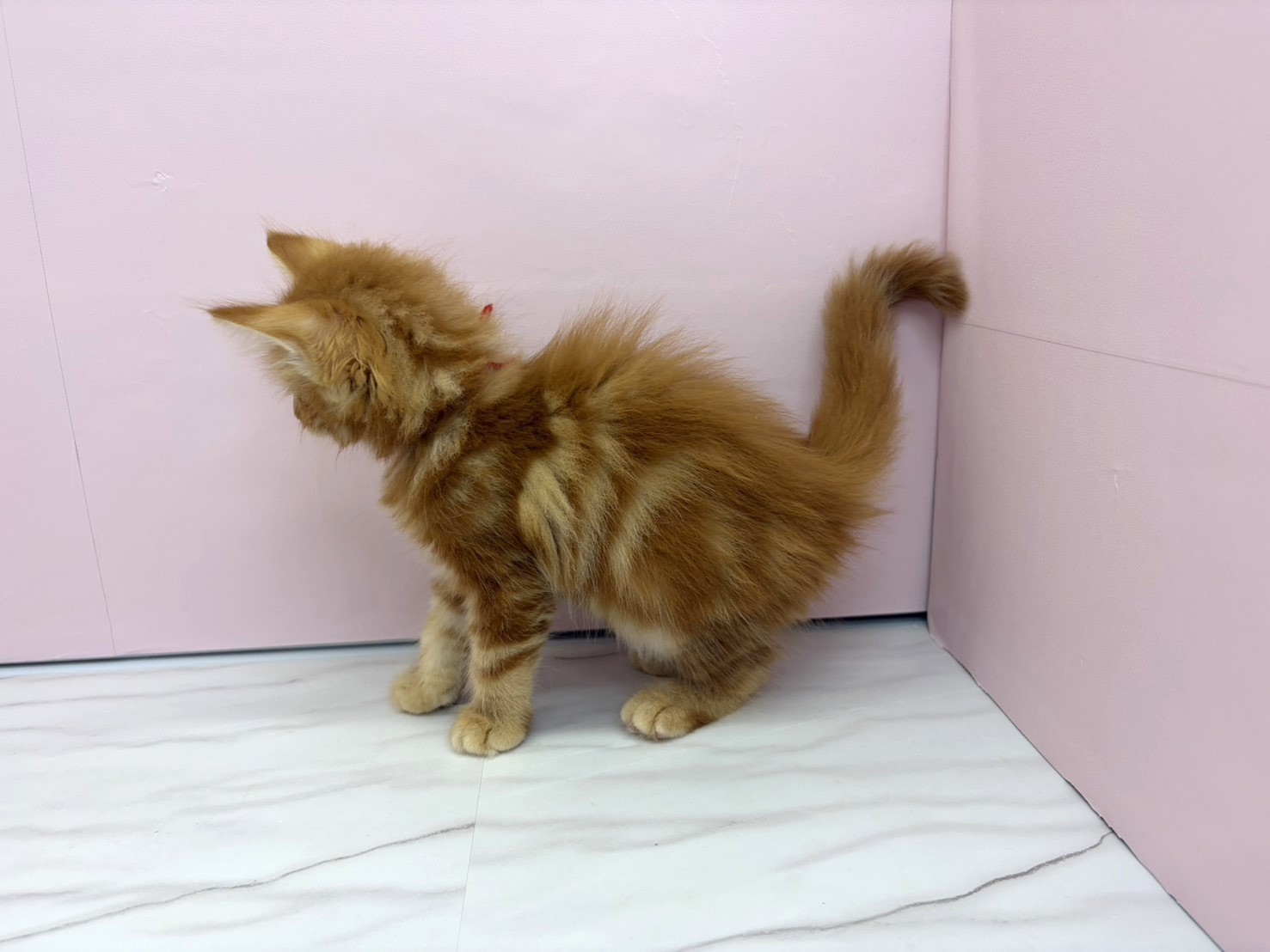 赤ちゃん写真2-2